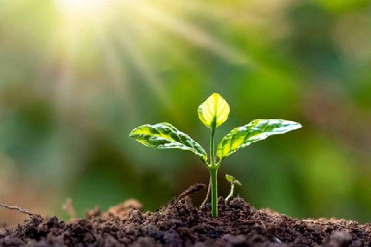 Un referente en distribución de envases compostables para el canal HORECA, Ecofami