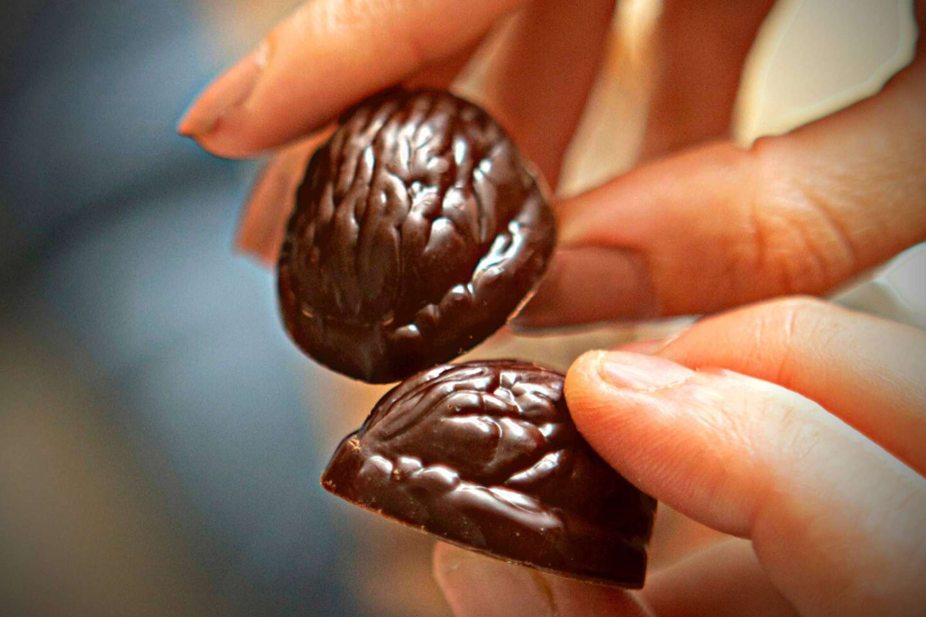 La nueva marca de bombones de chocolate con forma de nuez cada vez más aclamada en Europa, Nuche