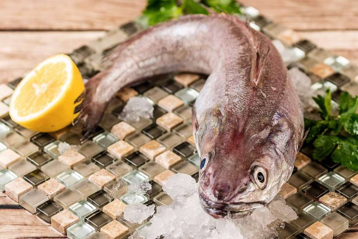 Lonja de Ayamonte sobre las novedades de su pescado de lonja