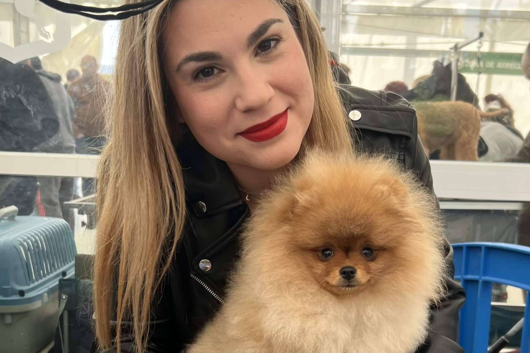 Los Luceros de Vandalia, un criadero de perros pequeños que destaca por su amor por los animales