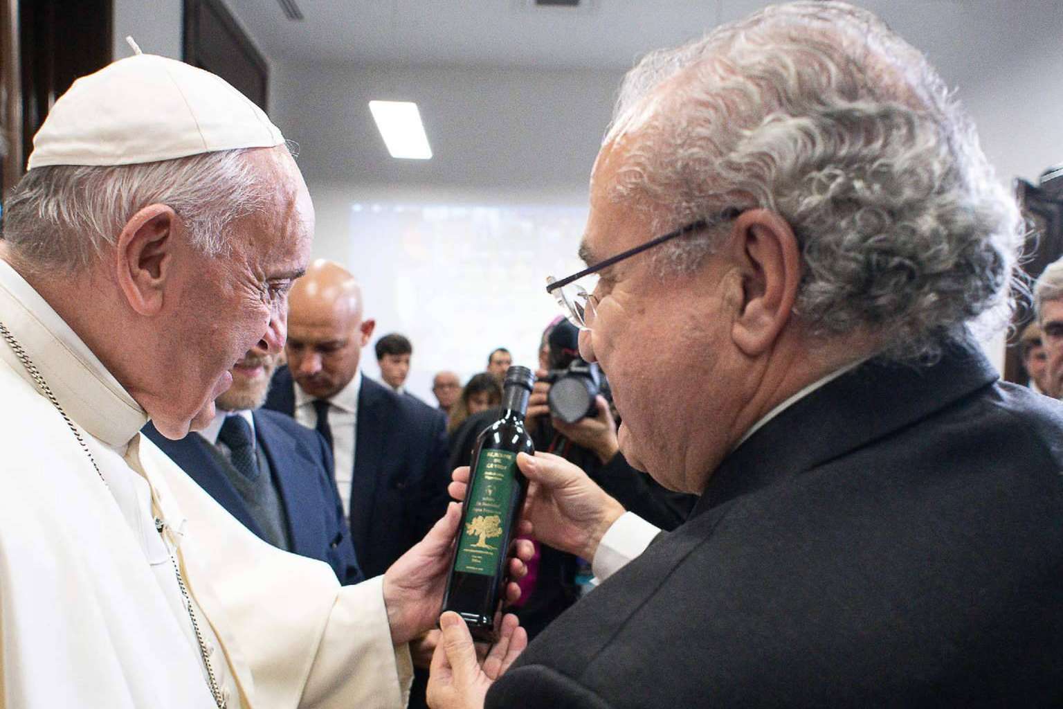 Un olivo centenario en España es apadrinado por el Papa Francisco