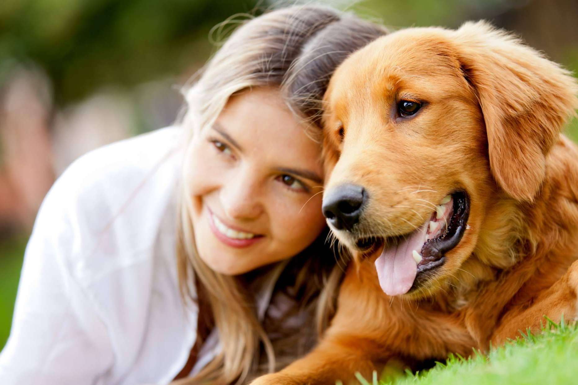 La época del año para recoger animales
