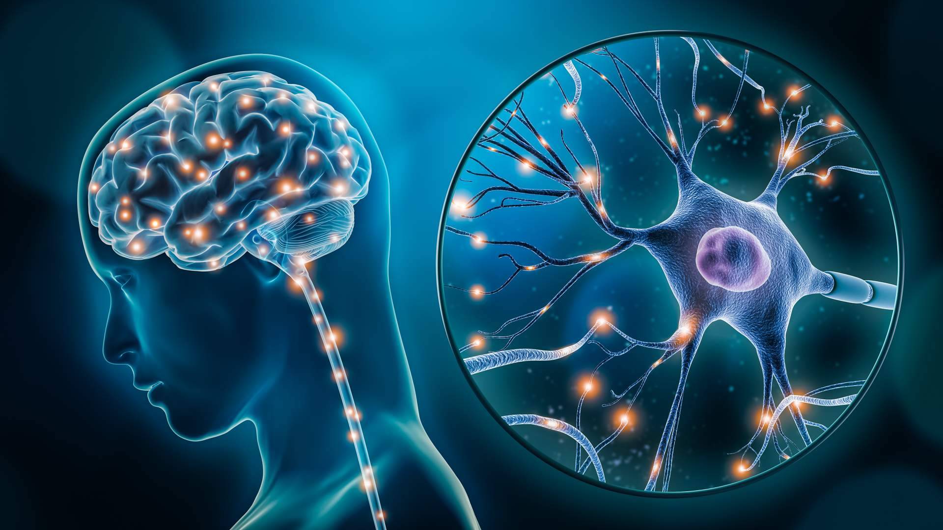 Estimulación cognitiva para el Parkinson con las actividades que propone INIMA Rehabilitación