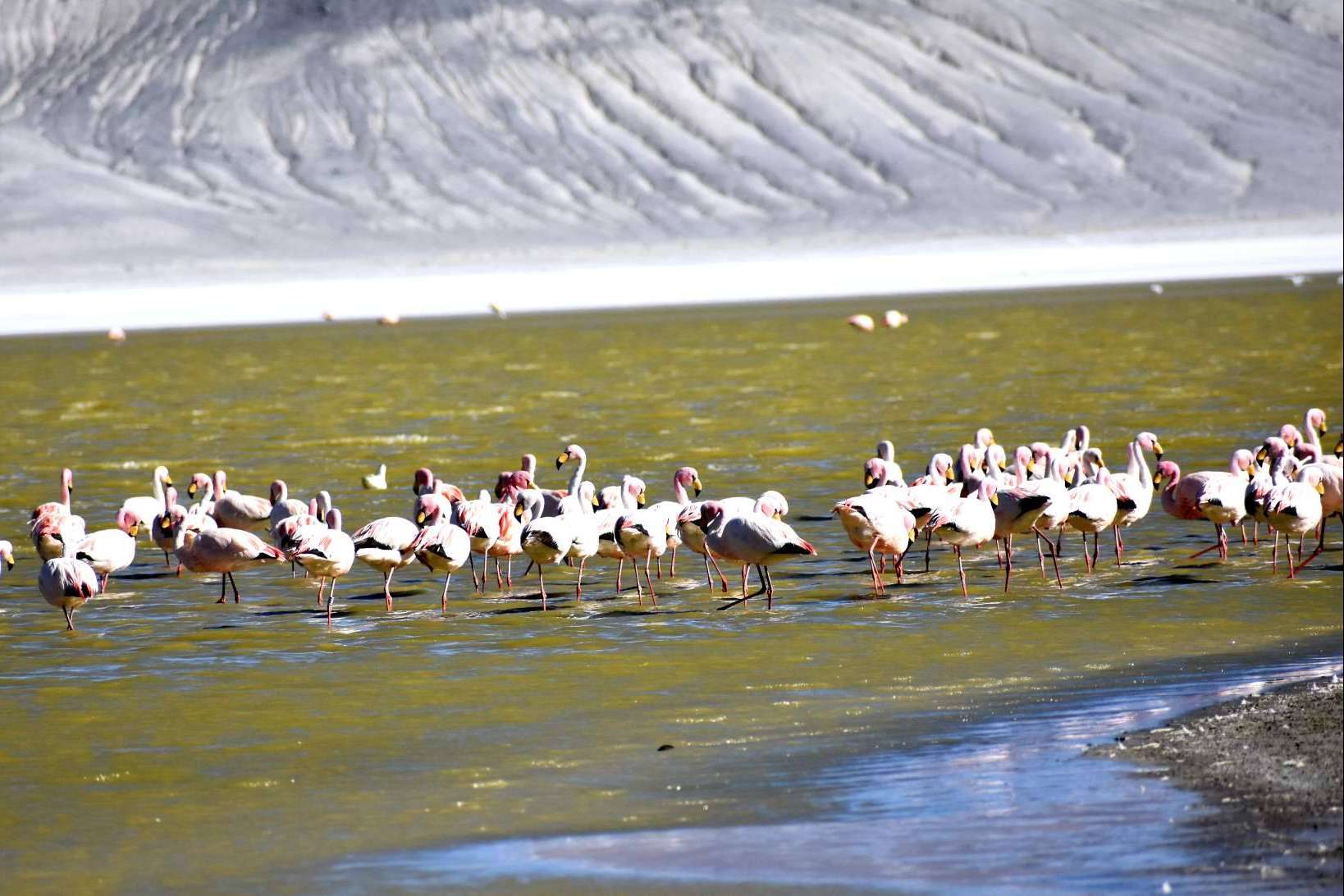 Descubrir los rincones más impresionantes de Chile, con Mayuru Tour