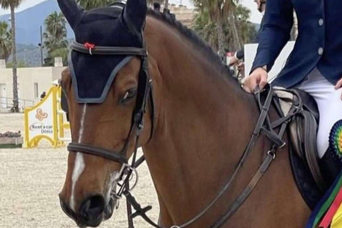 Las características especiales de la Copa Comunidad de Madrid de salto de obstáculos