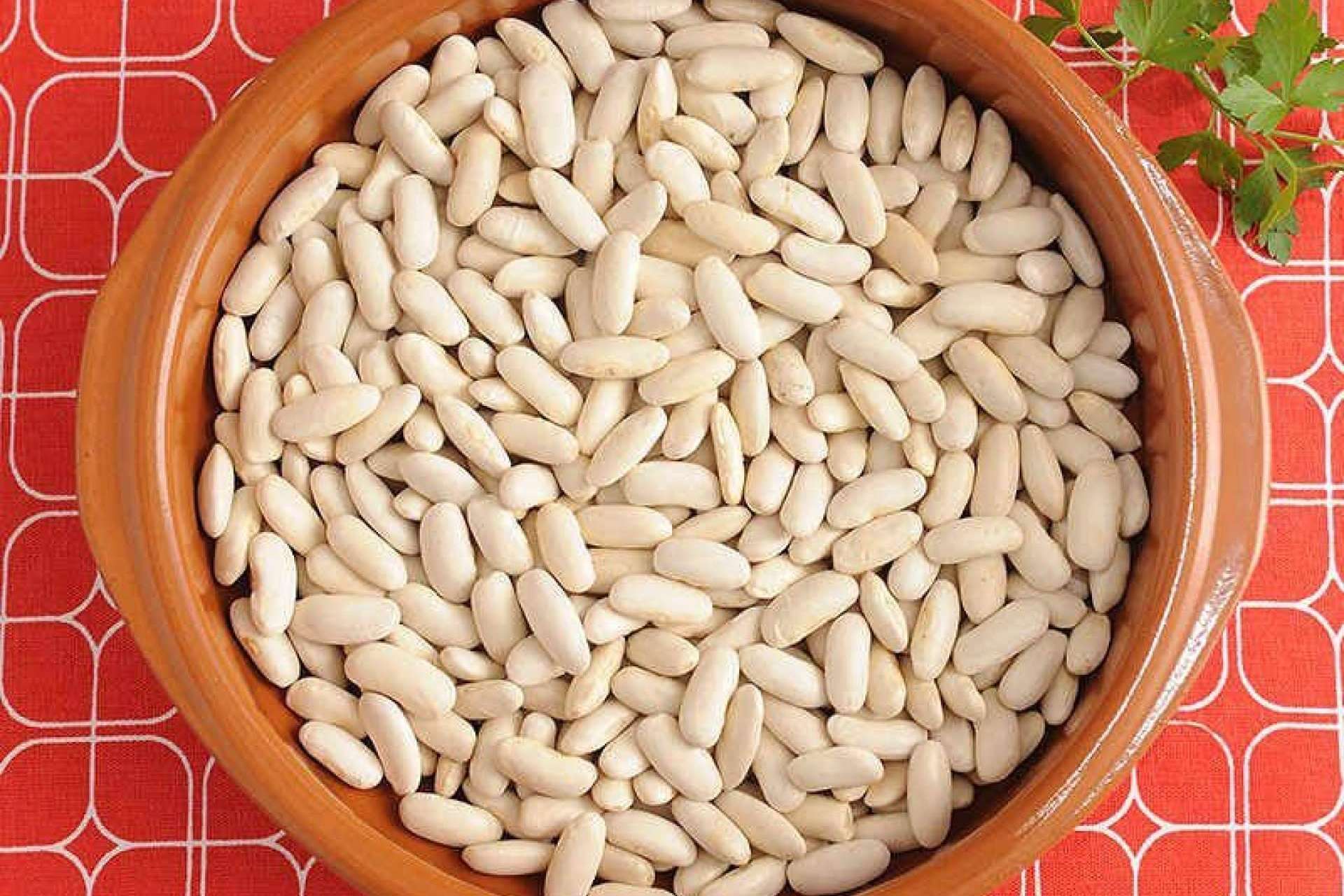 Conseguir fabada asturiana y cocido madrileño en toda Europa con Gastronomic Spain