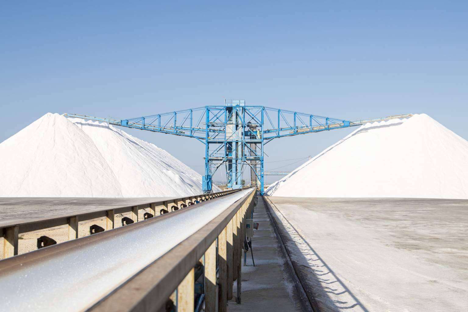 La sal en escamas que proporciona Bras del Port dispone de una forma inconfundible y una textura diferencial