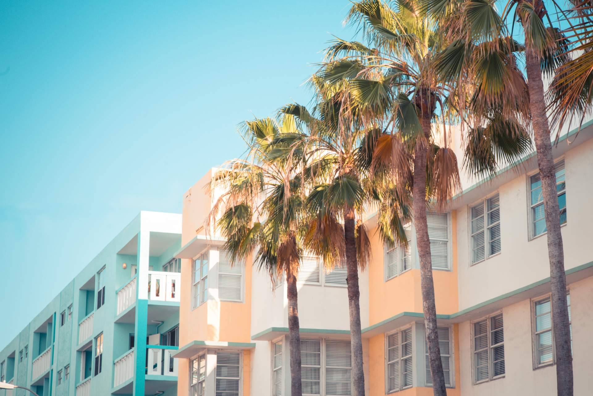UTG Miami, ¿Por qué y dónde alquilar casas en Miami?