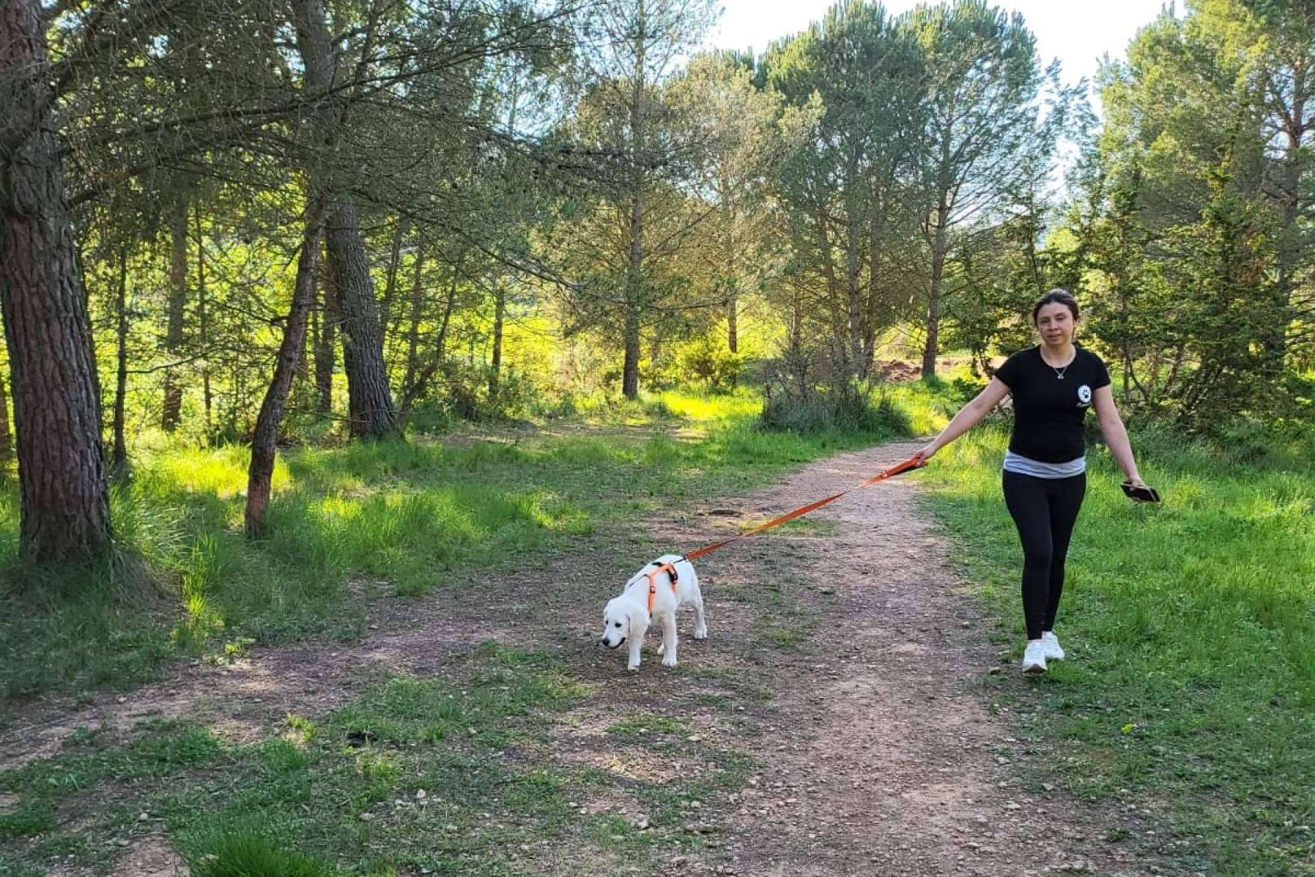 El Perro Feliz, garantías para el cuidado de perros en Barcelona Sur y Tarragona