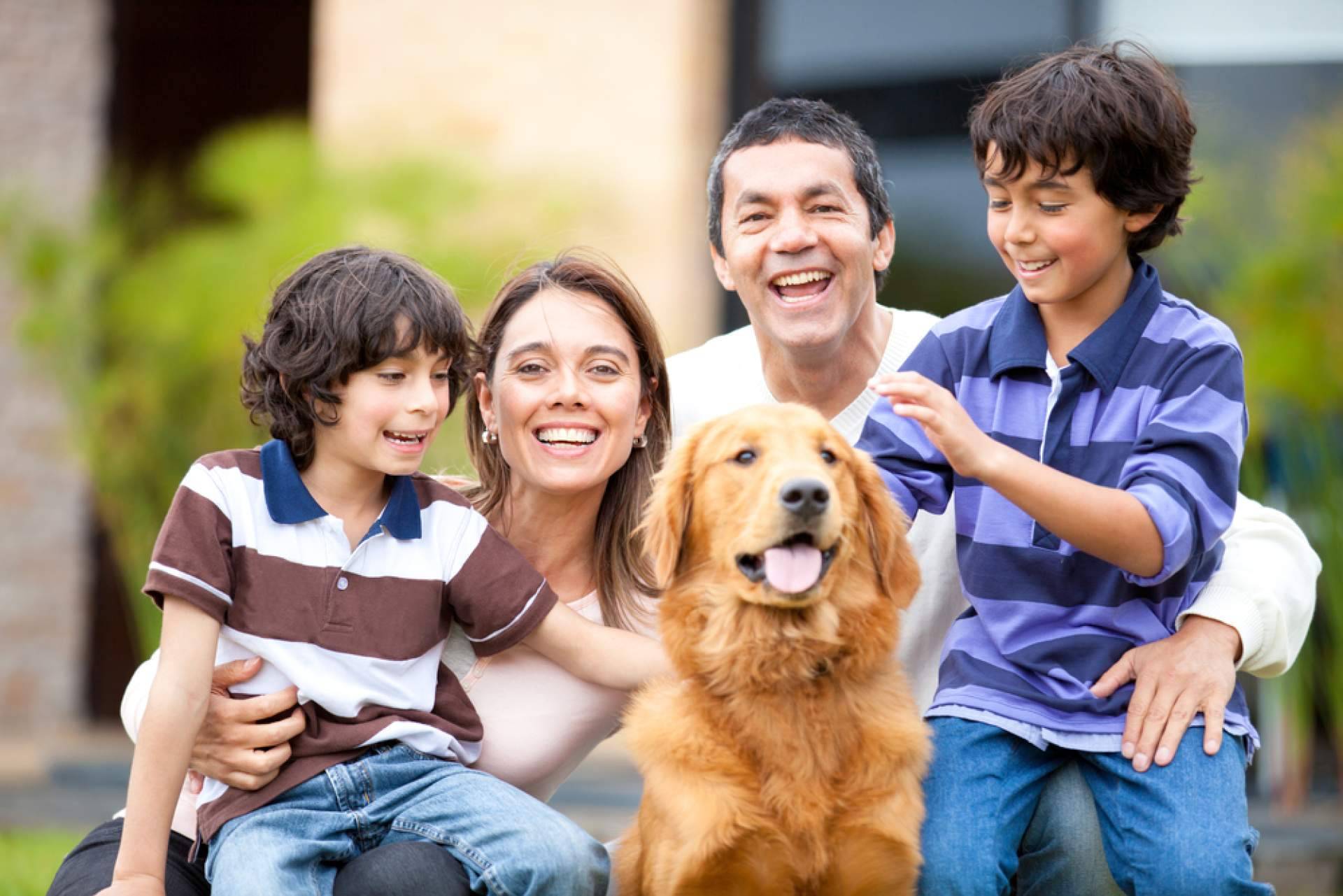 El buscador de adopciones ADOPTA está transformando la vida de los animales de refugio