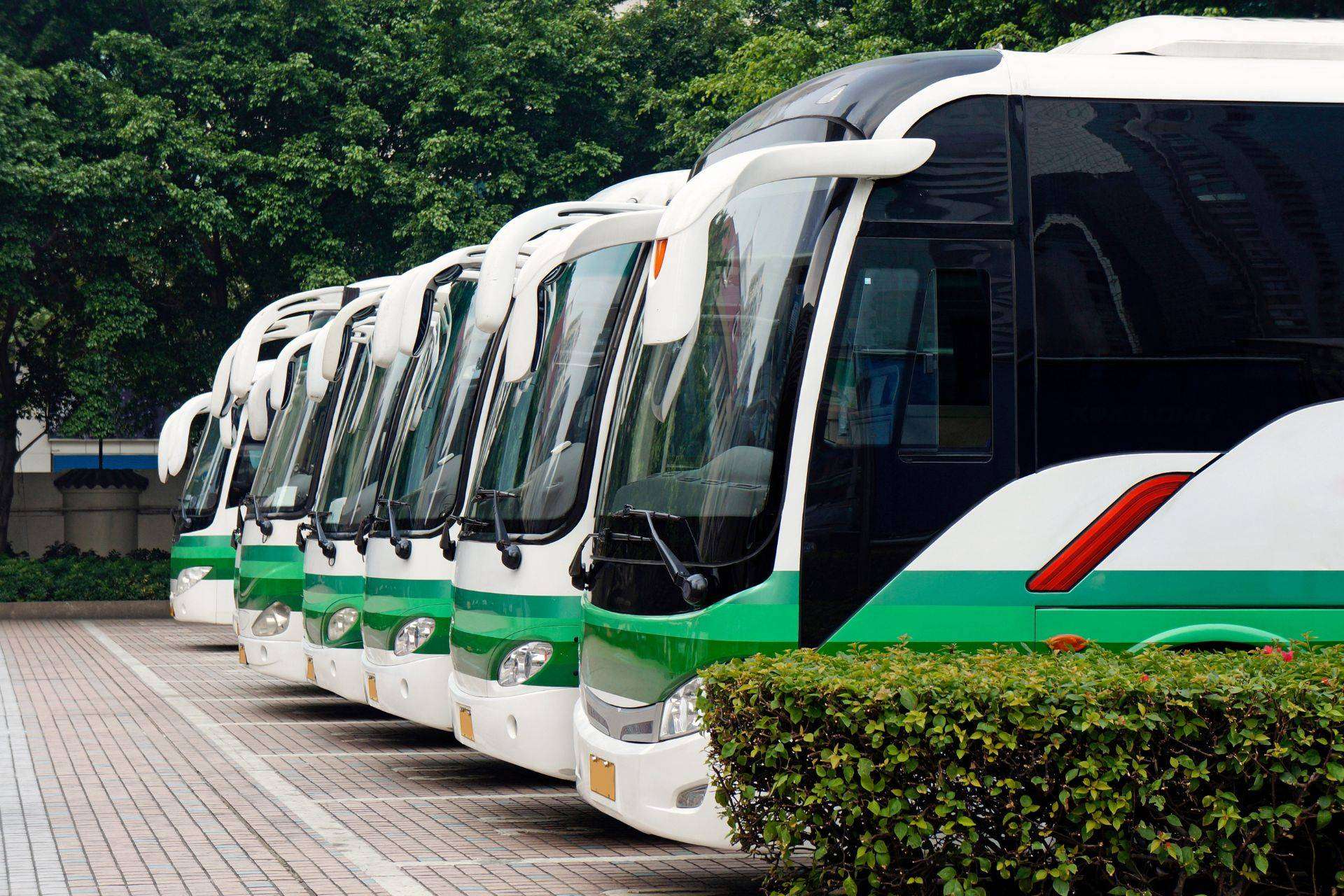 Gran flota de autobuses de ocasión con Selanbus