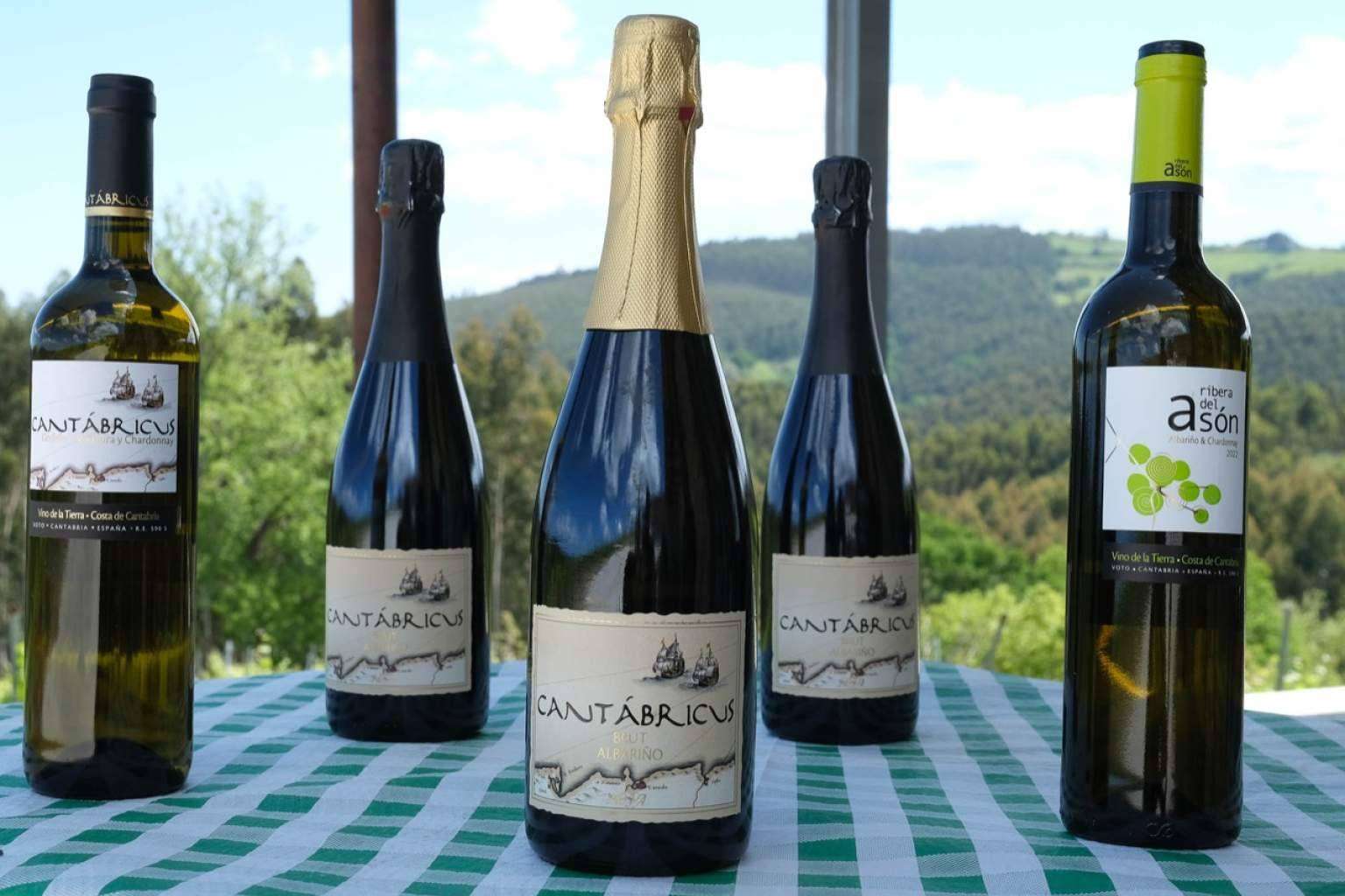 Enoturismo en Cantabria con Bodegas Vidular