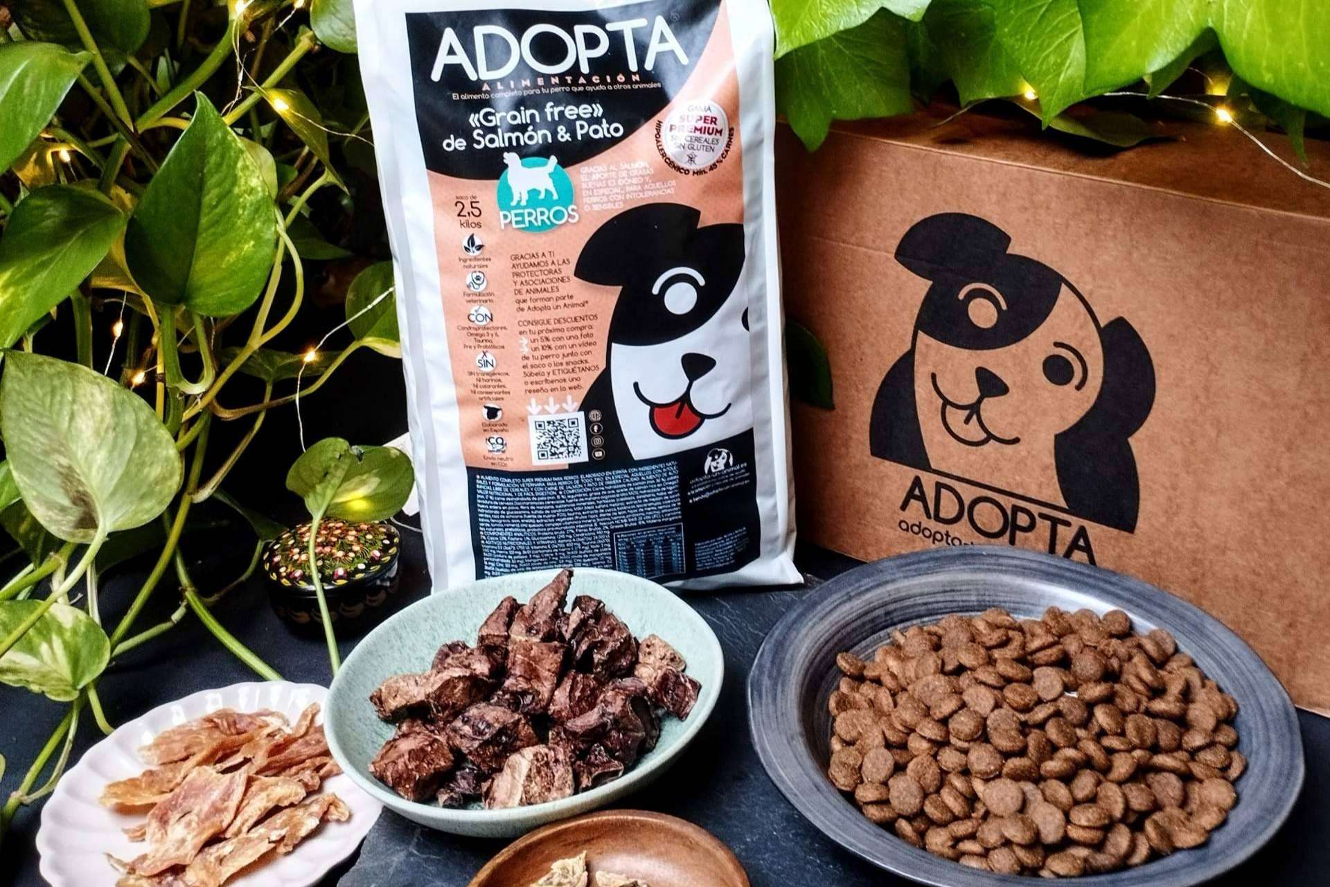 ¿Pienso para perros sin ingredientes alergénicos? ¡Es el momento de pasarse al pienso hipoalergénico de salmón y pato de ADOPTA!