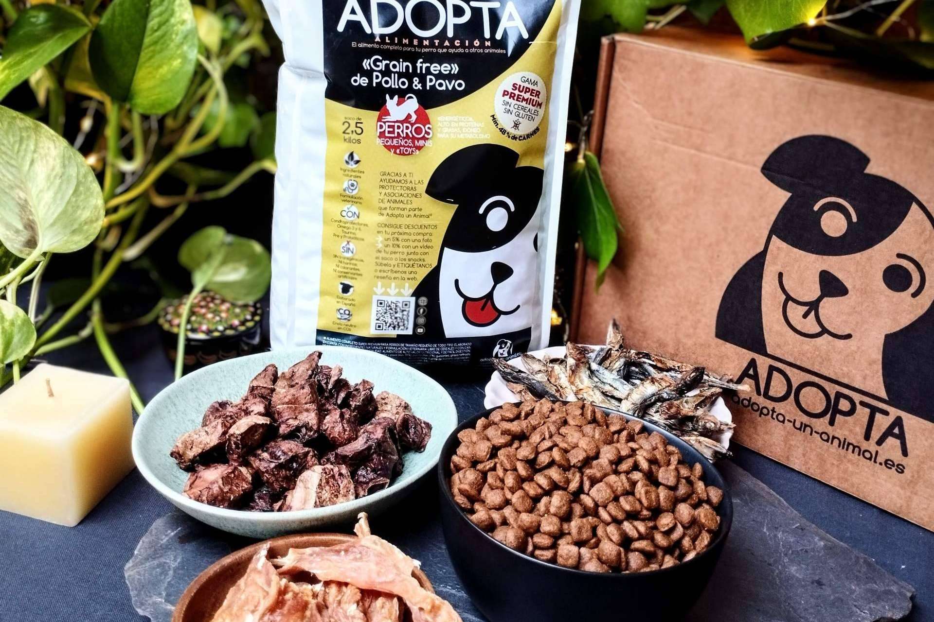 Adopta un Animal y los principales beneficios del pienso sin cereales