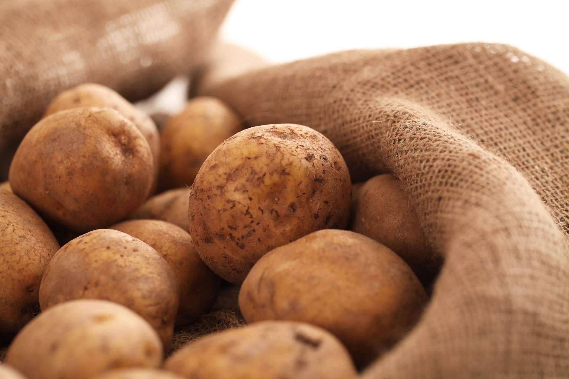 Ventajas de utilizar sacos de rafia en agricultura y ganadería