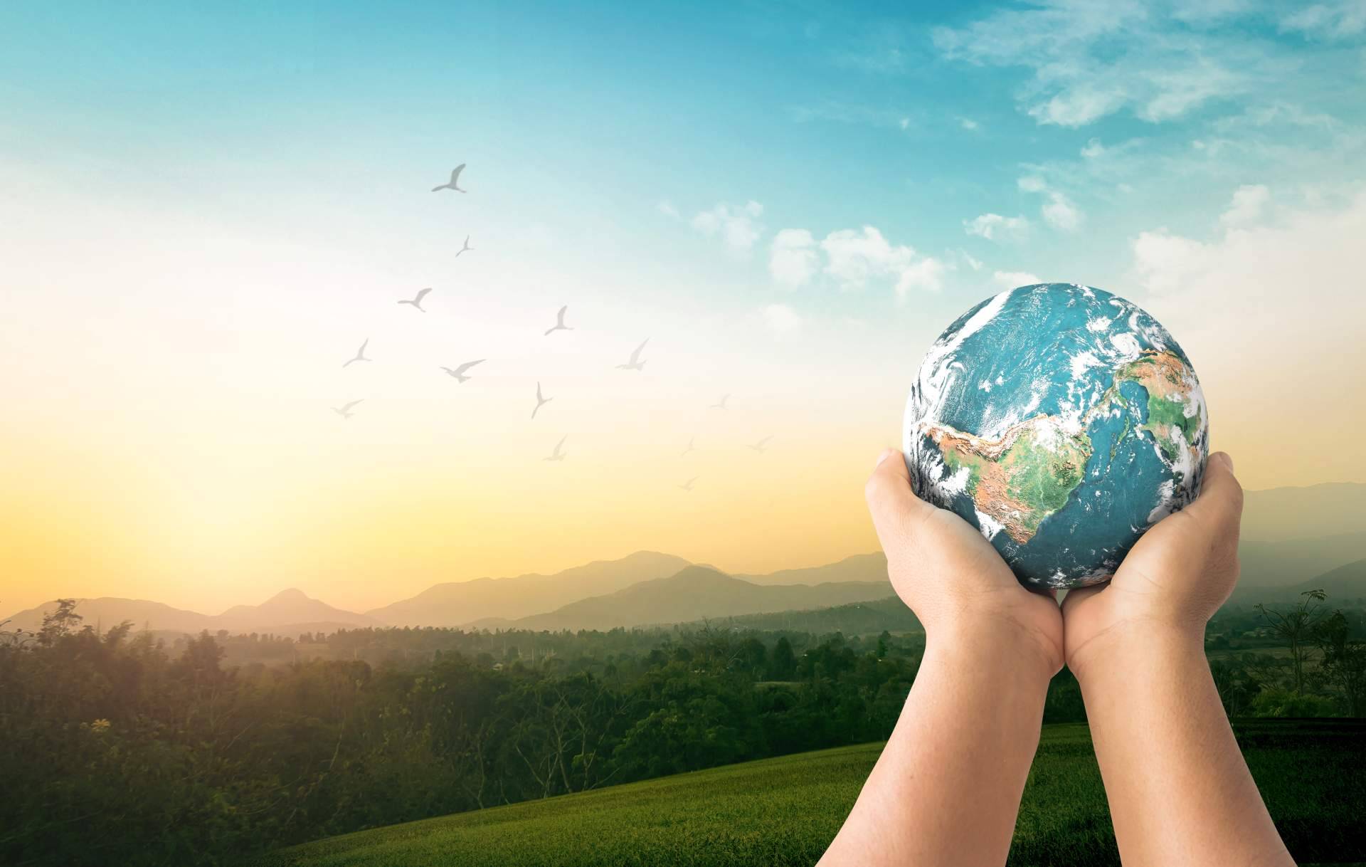 Safebrok apoya la atención al medioambiente a través de finanzas sostenibles