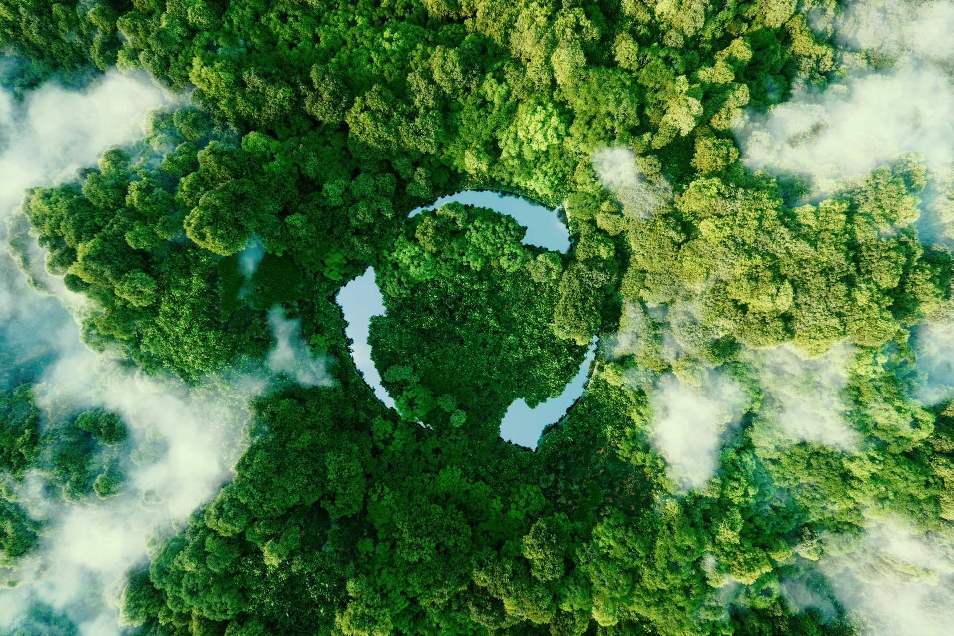 El pago por uso, una solución efectiva para disminuir la contaminación medioambiental
