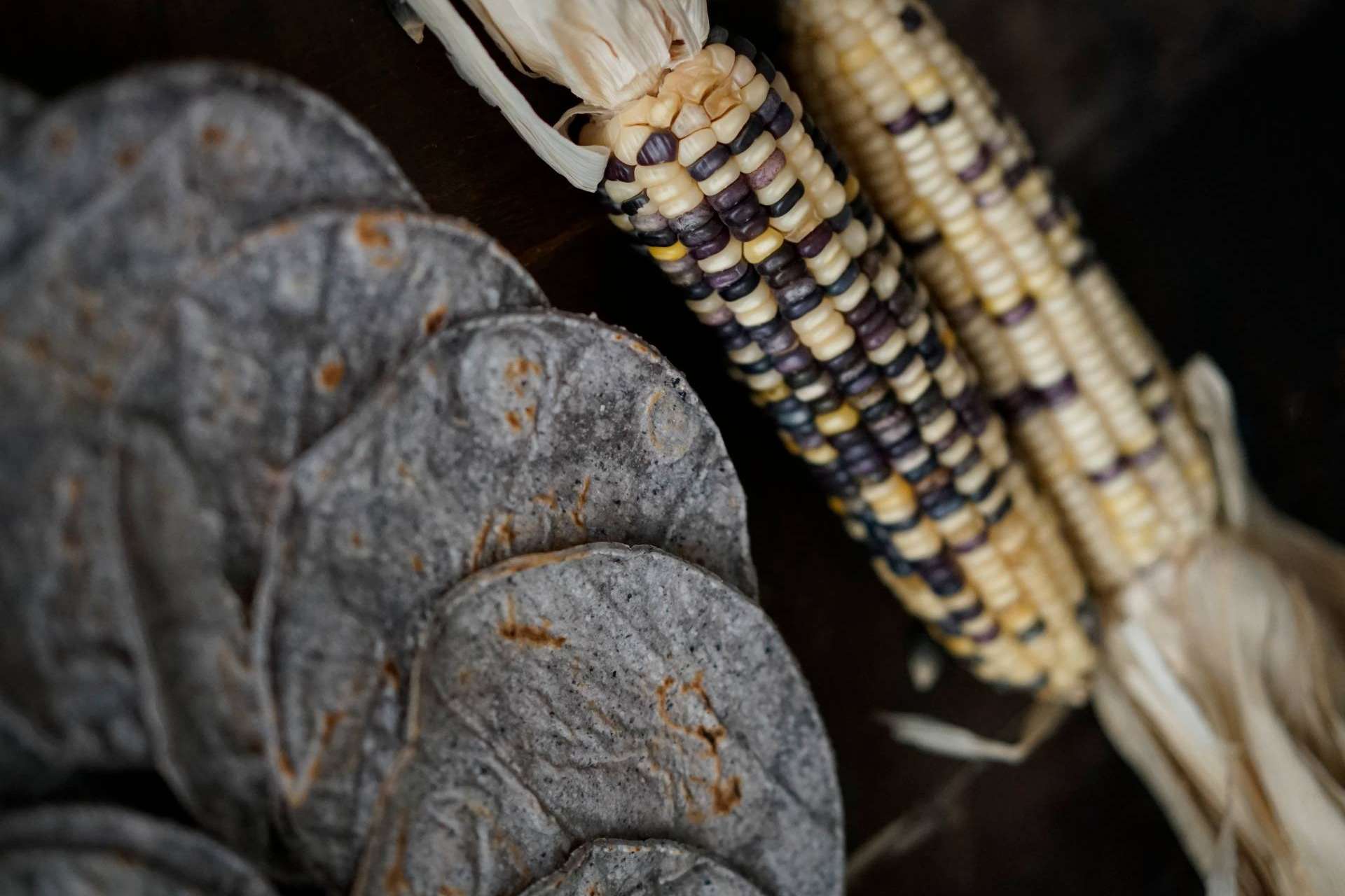 Maíz Maya, el taller de delicias mexicanas para adquirir una selección exquisita y diferente de tortillas de maíz