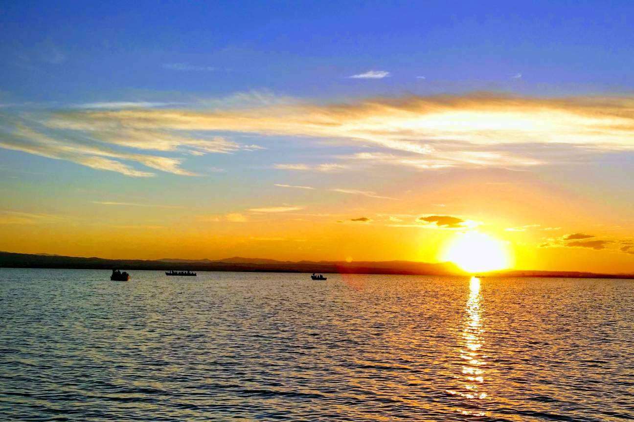 Conocer la albufera de la mano de Albumar