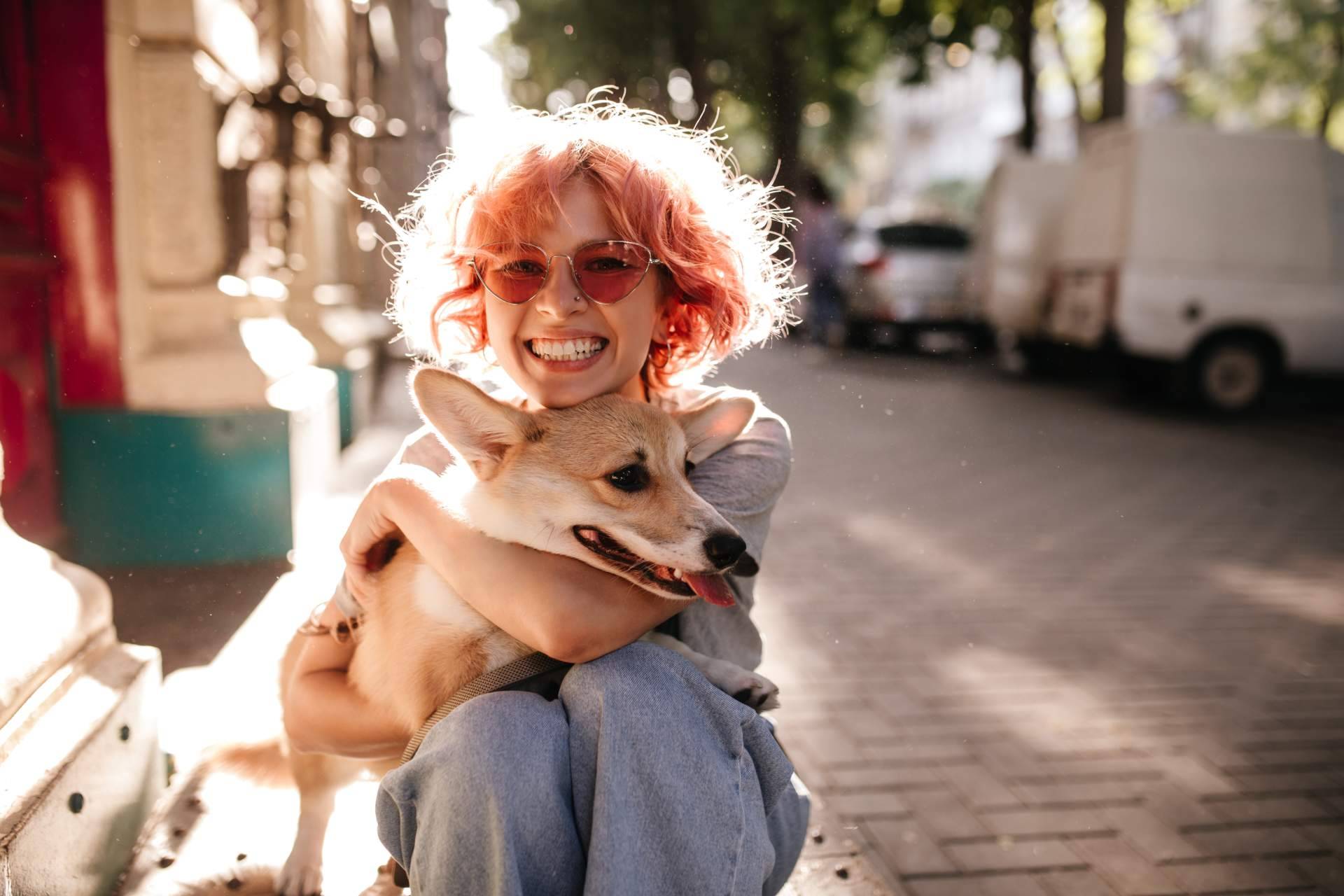 La plataforma gratuita para protectoras y asociaciones de animales que está cambiando la vida de los animales abandonados