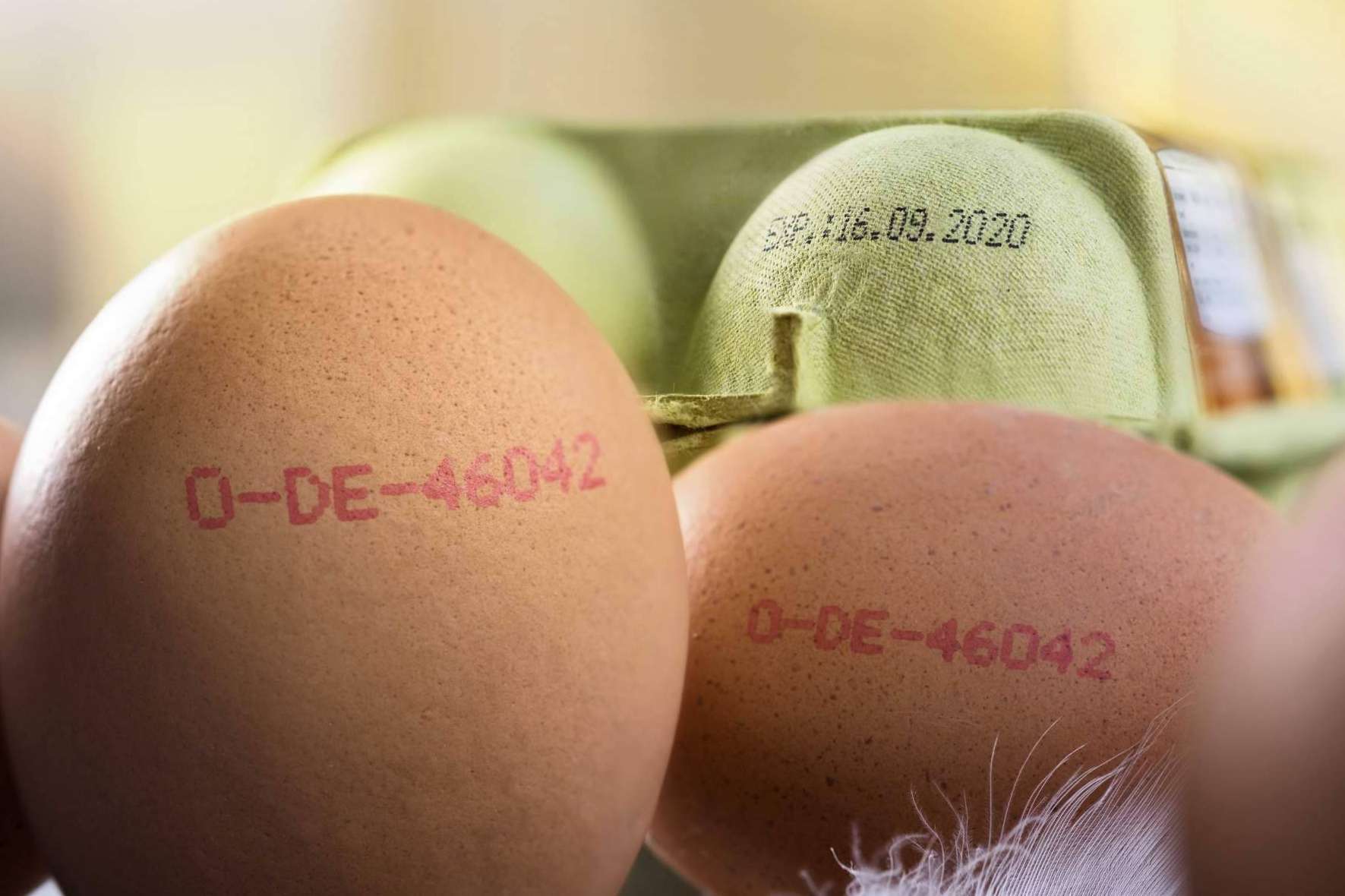 Trébol Group sobre la codificación de los productos que se venden en el supermercado