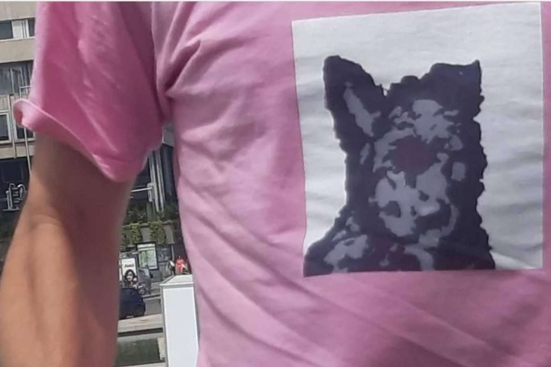 Horacio y Bob, diferente, original y con carácter, sin pretensiones que no sean el estilo y la comodidad