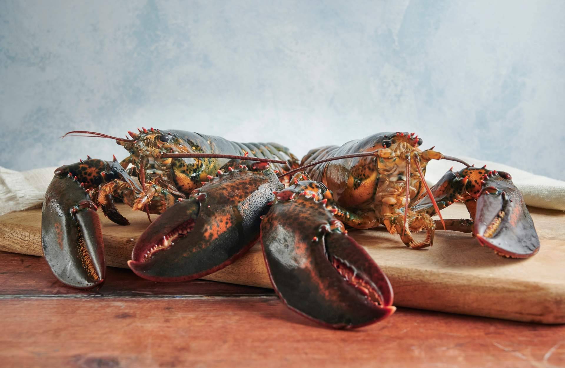 ¿Dónde encontrar bogavante y otros productos del mar de alta calidad? Pescadería Younes Ceuta