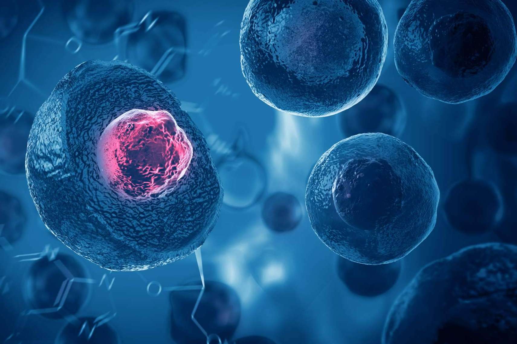 Formación integral sobre exosomas en el campo de la medicina regenerativa y antienvejecimiento