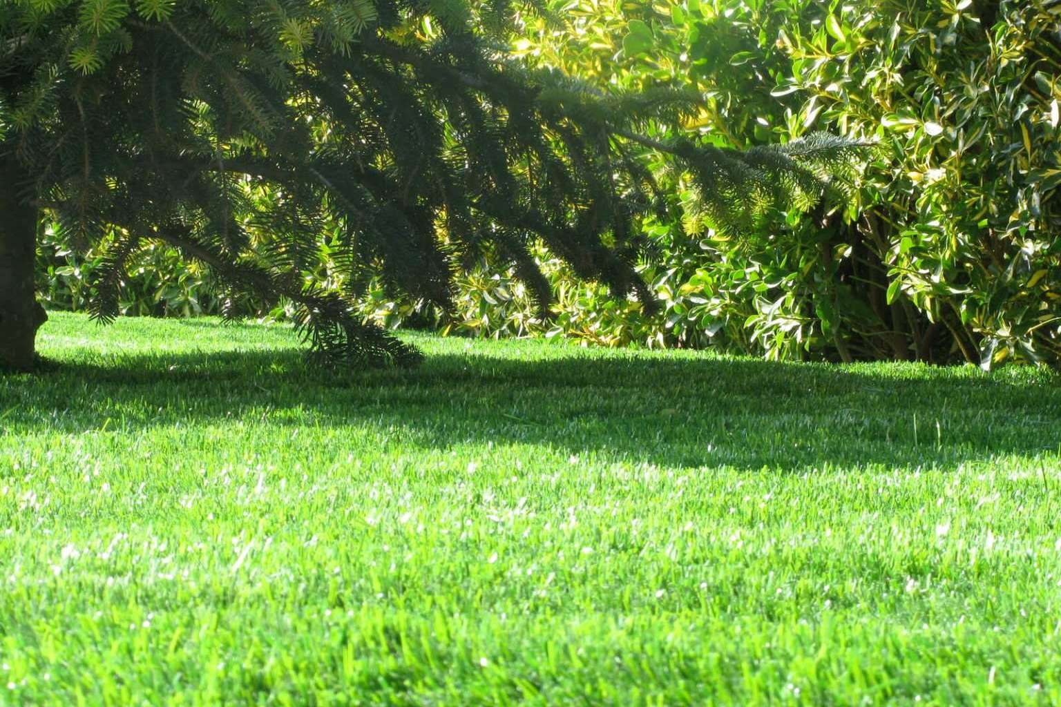 ¿Cómo decorar el jardín con césped artificial? Las recomendaciones de Albergrass