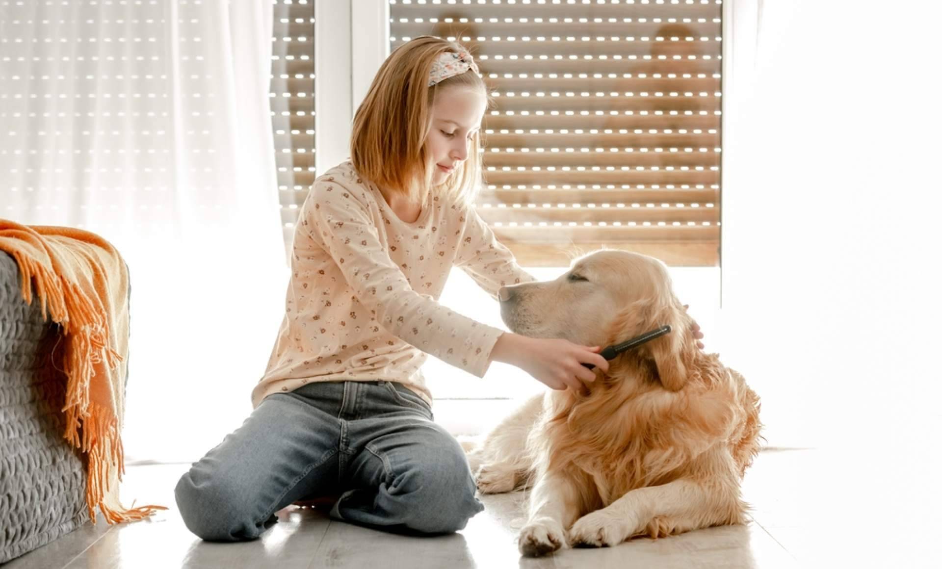 4 Huellas lanza el Pinkbrush Cardador Profesional, el cepillo ideal para cuidar de las mascotas