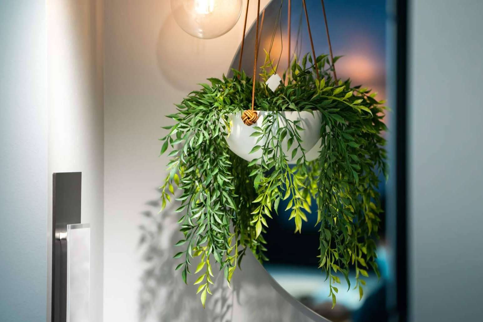 JardínVertical.es comercializa un catálogo con más de 20 opciones en plantas artificiales realistas