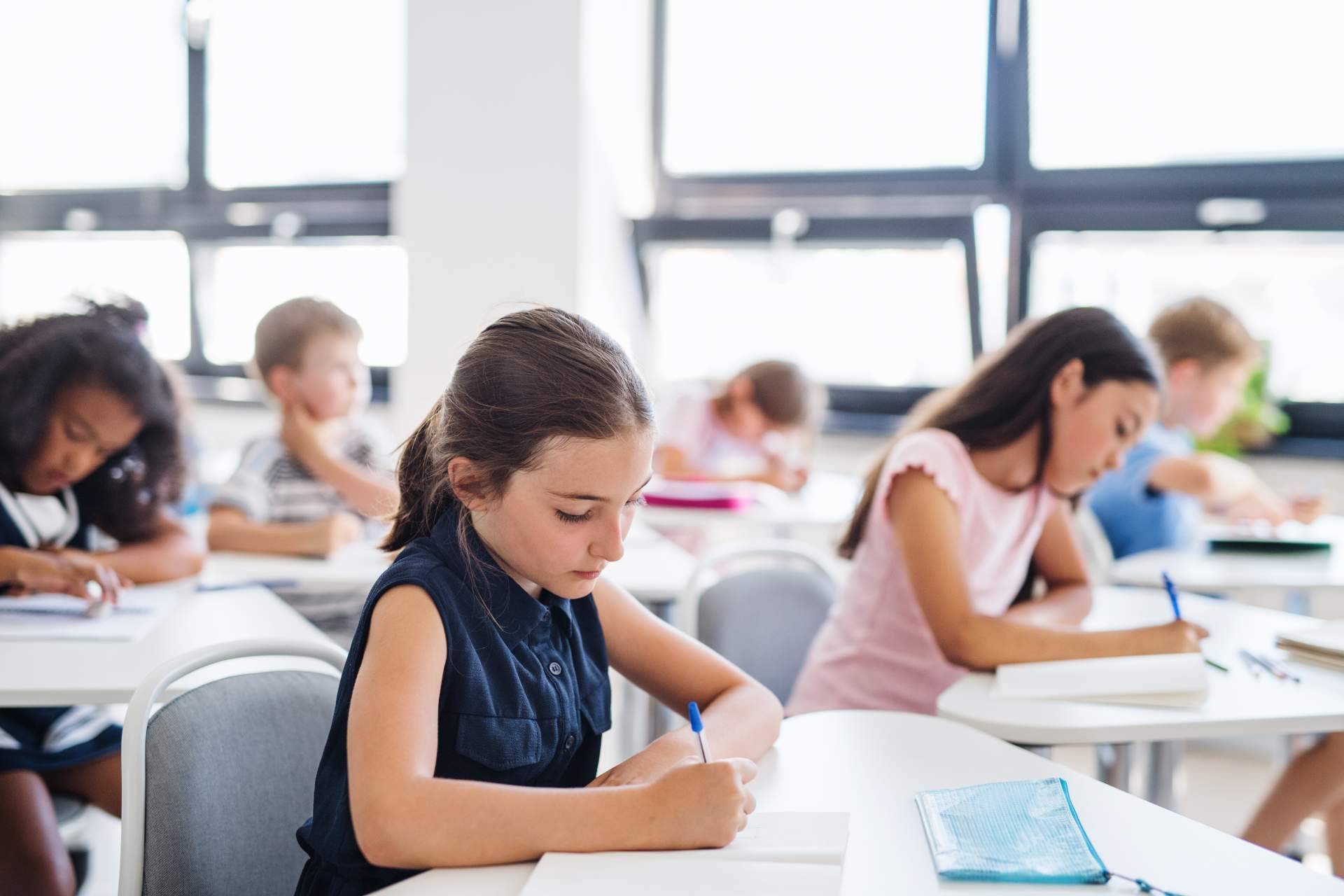 Colegio del Sagrado Corazón Mundaiz, San Sebastián, Tradición y Vanguardia en Educación