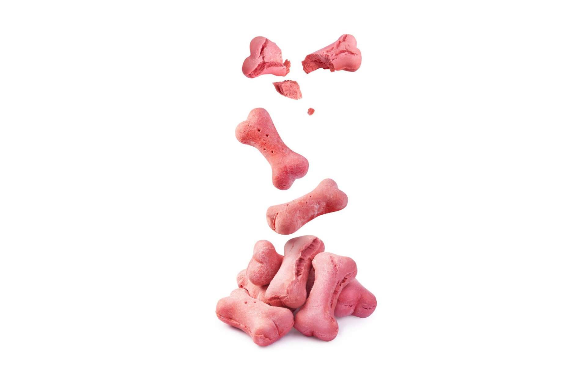 Can Xana y su catálogo de snacks para perros y gatos