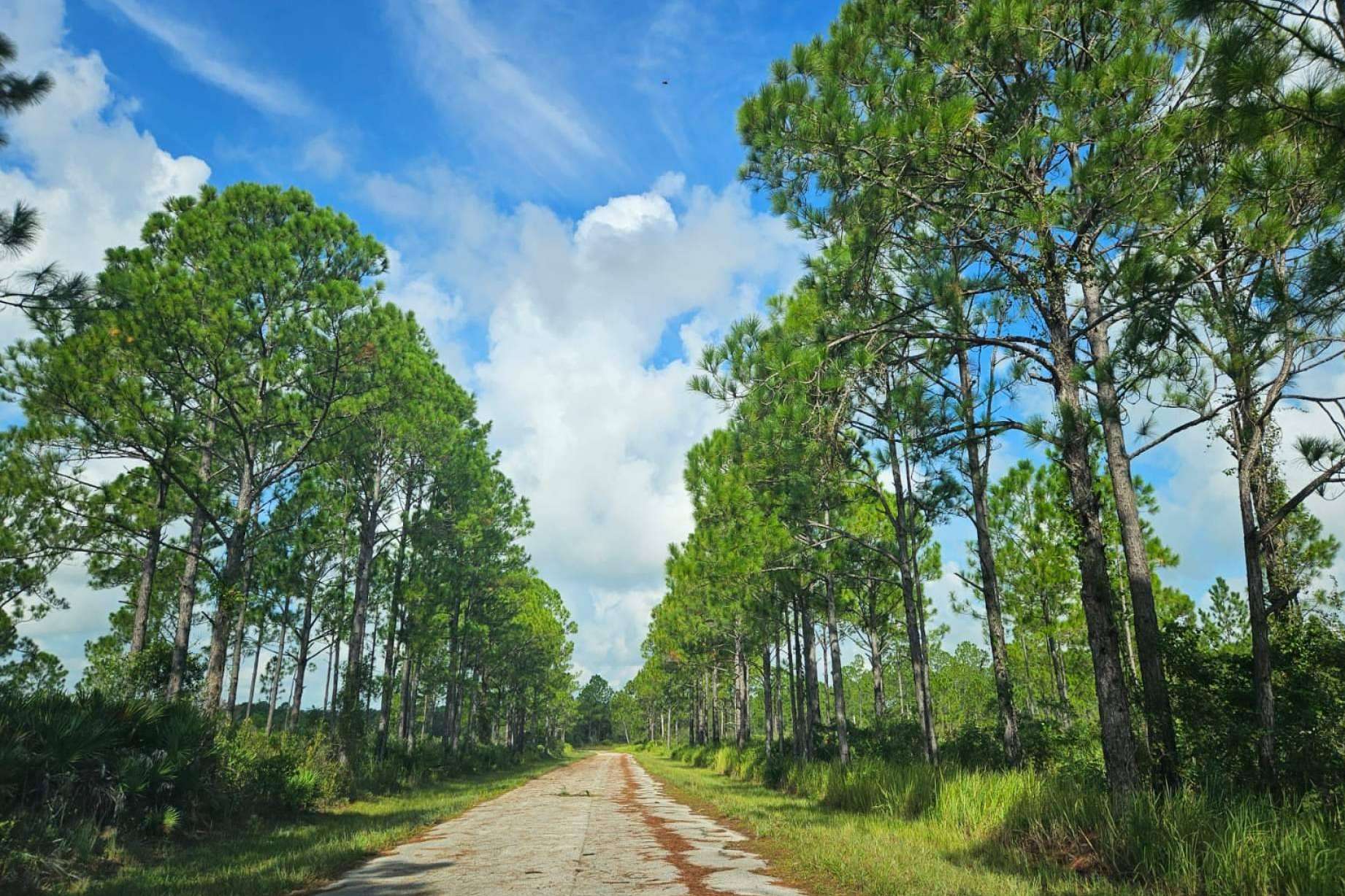 Crece el interés de invertir en Florida, por Vista Imark