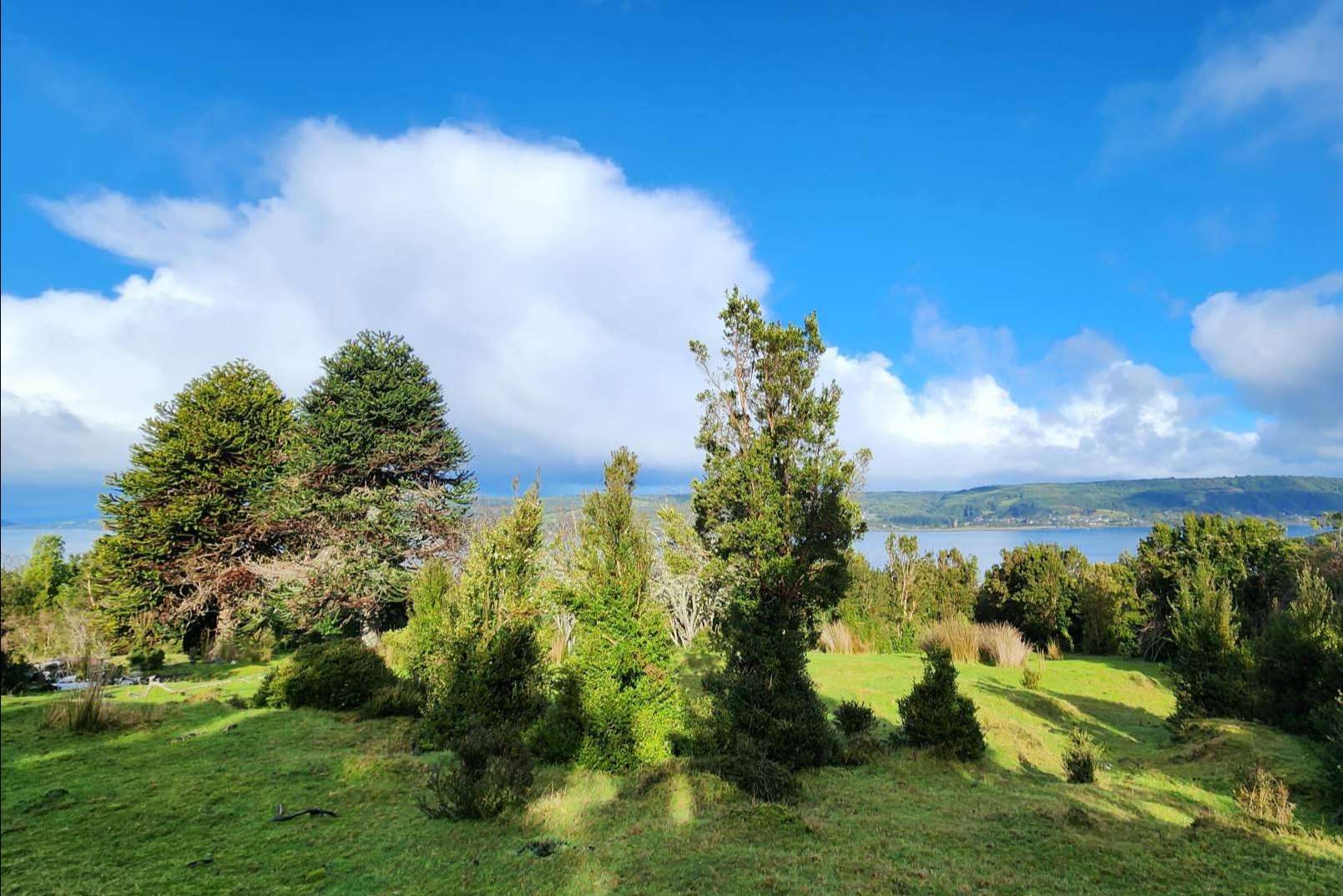 Latitudes Australes ofrece lugares fascinantes en Chiloé para invertir en una parcela