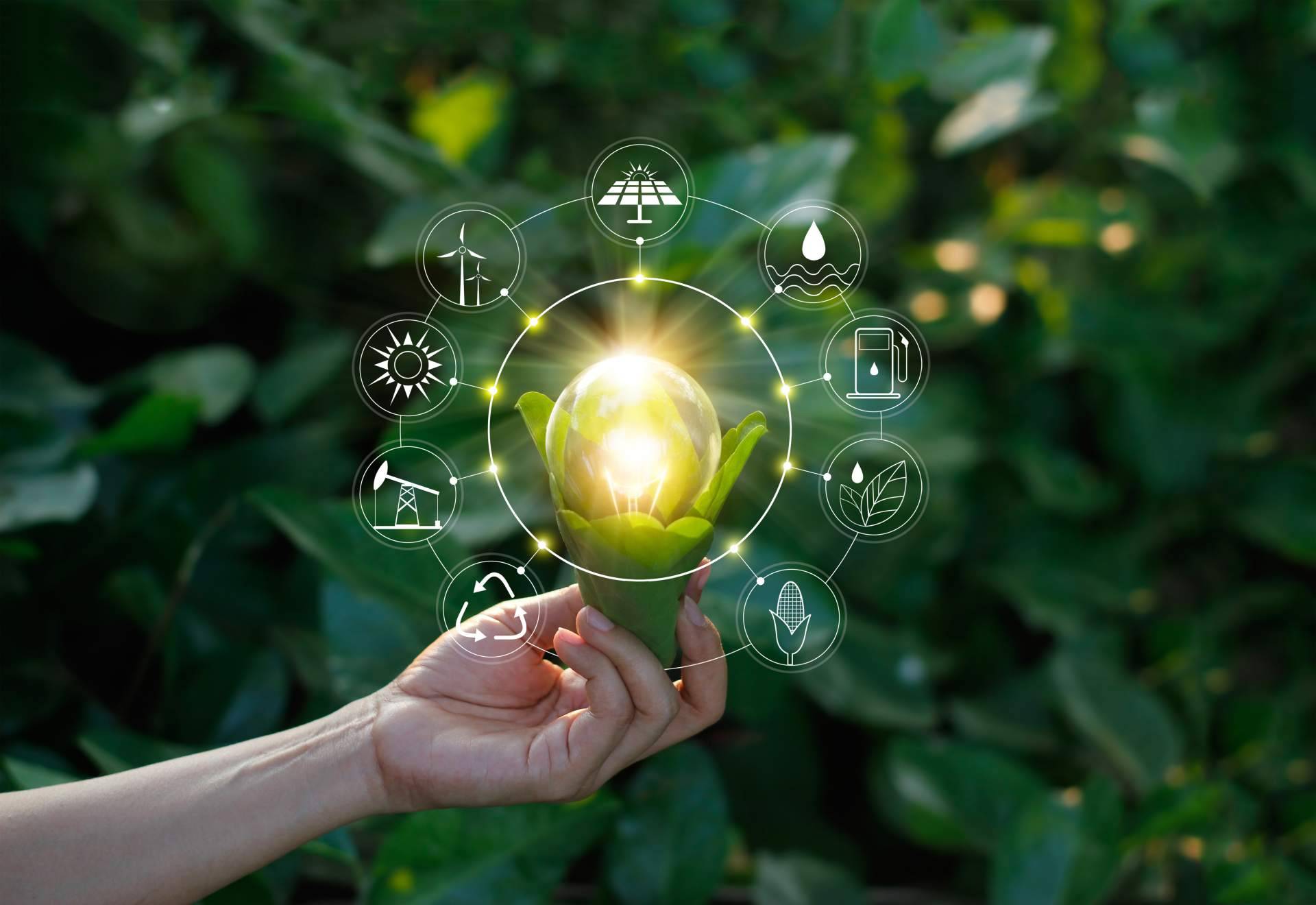 La importancia de tener una asesoría energética como LuzHogar