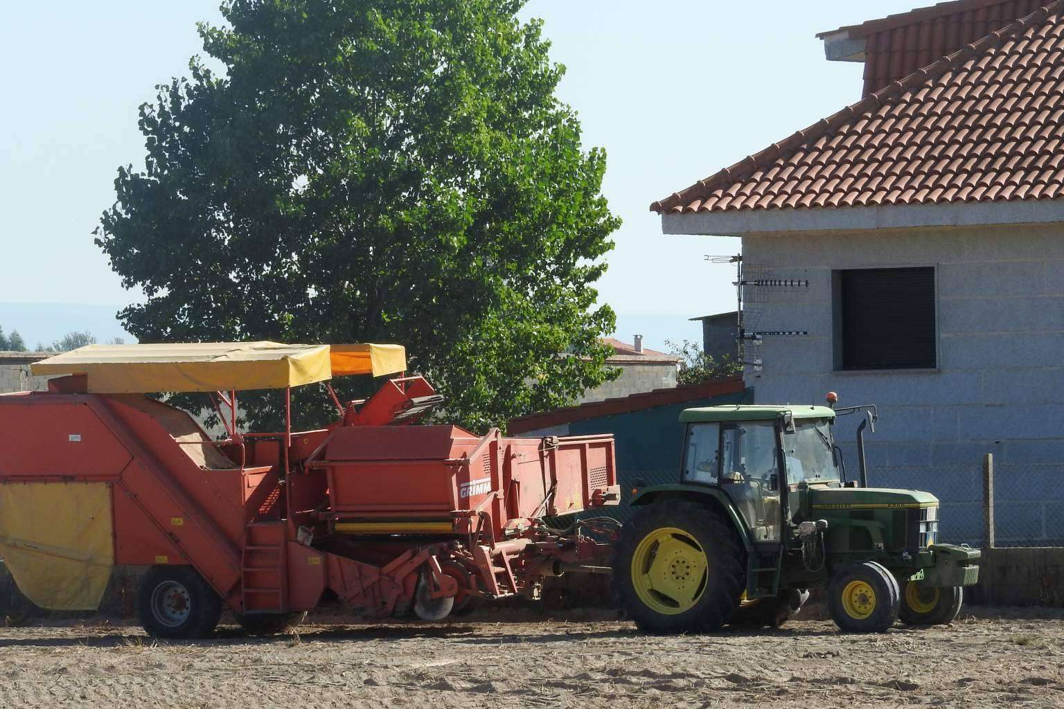 Patatas Yago, productores y distribuidores de patatas gallegas