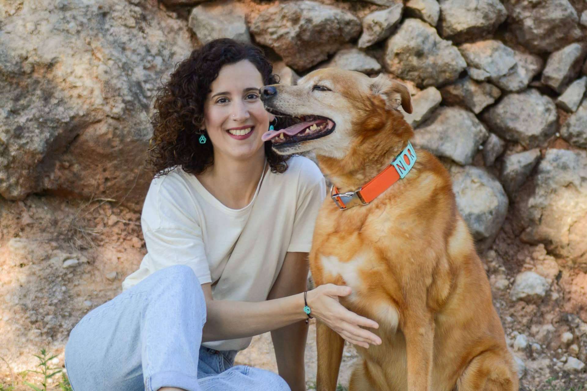 Seron Estilo y los collares perros personalizados