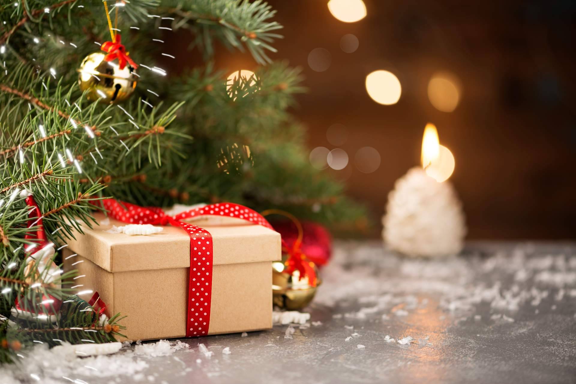 El servicio de entrega a domicilio de abetos para Navidad de Navet