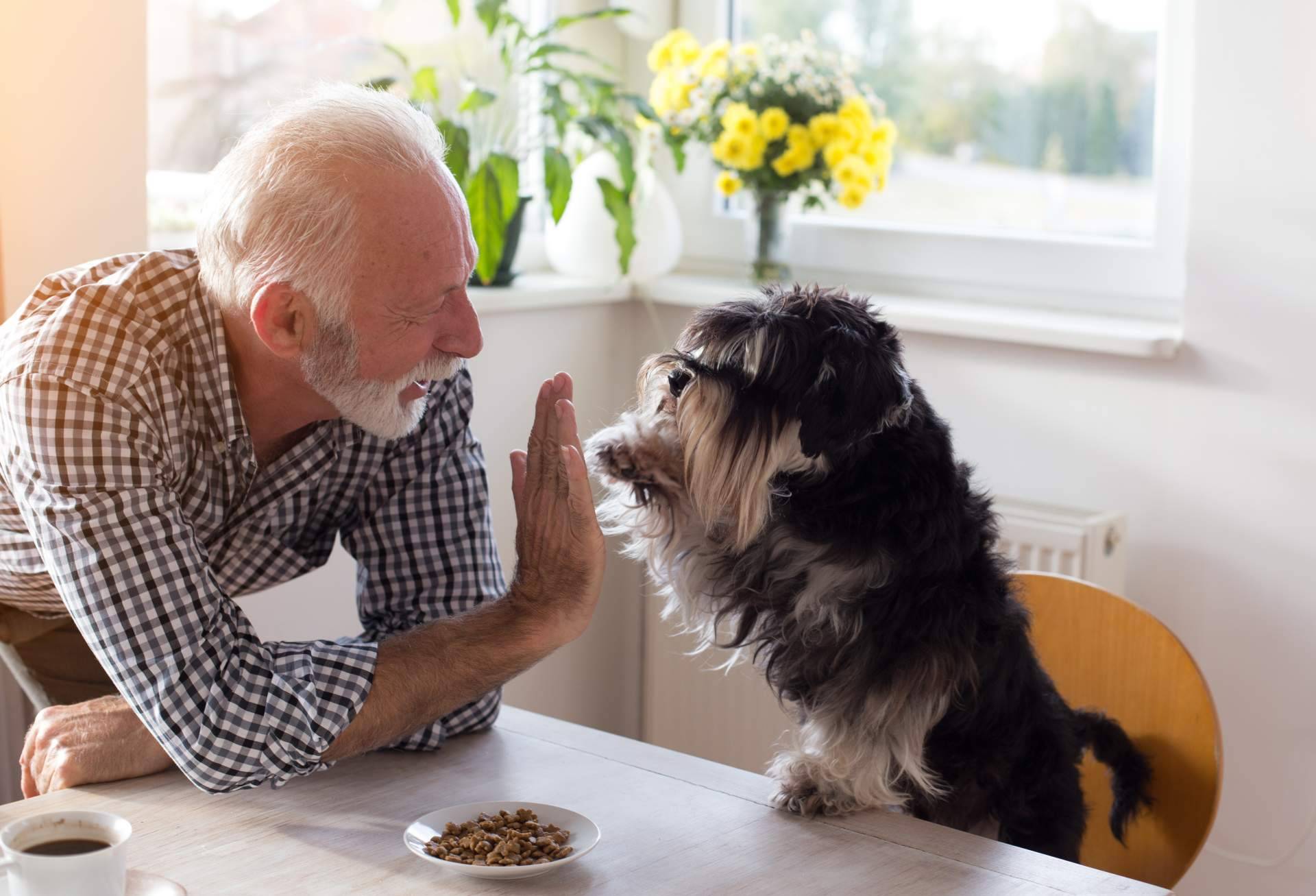 ¿Dónde encontrar snack para perros de calidad? Era Pet Food