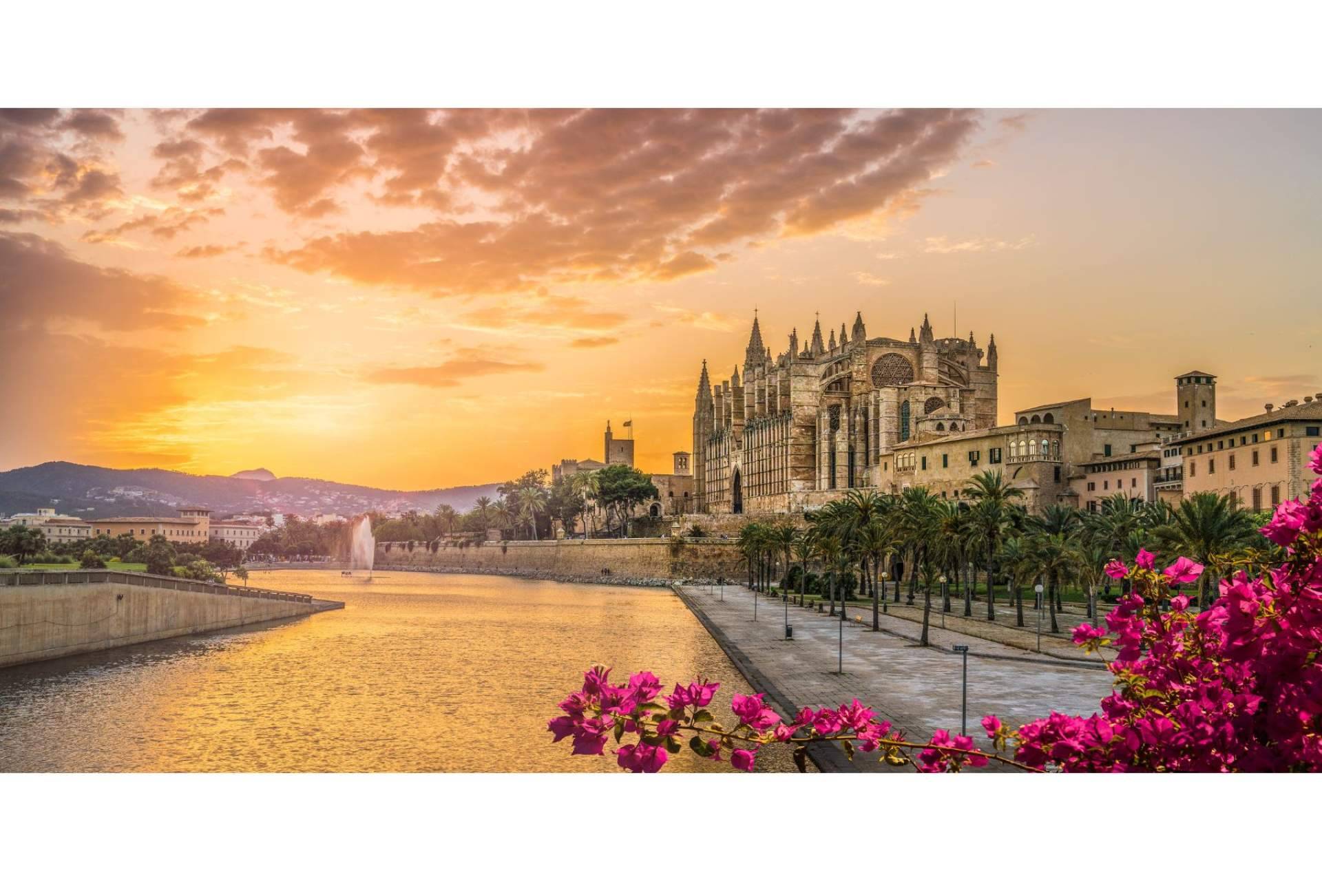 ClickFurgos cuenta con un servicio de alquiler de furgonetas en Mallorca para hacer mudanzas