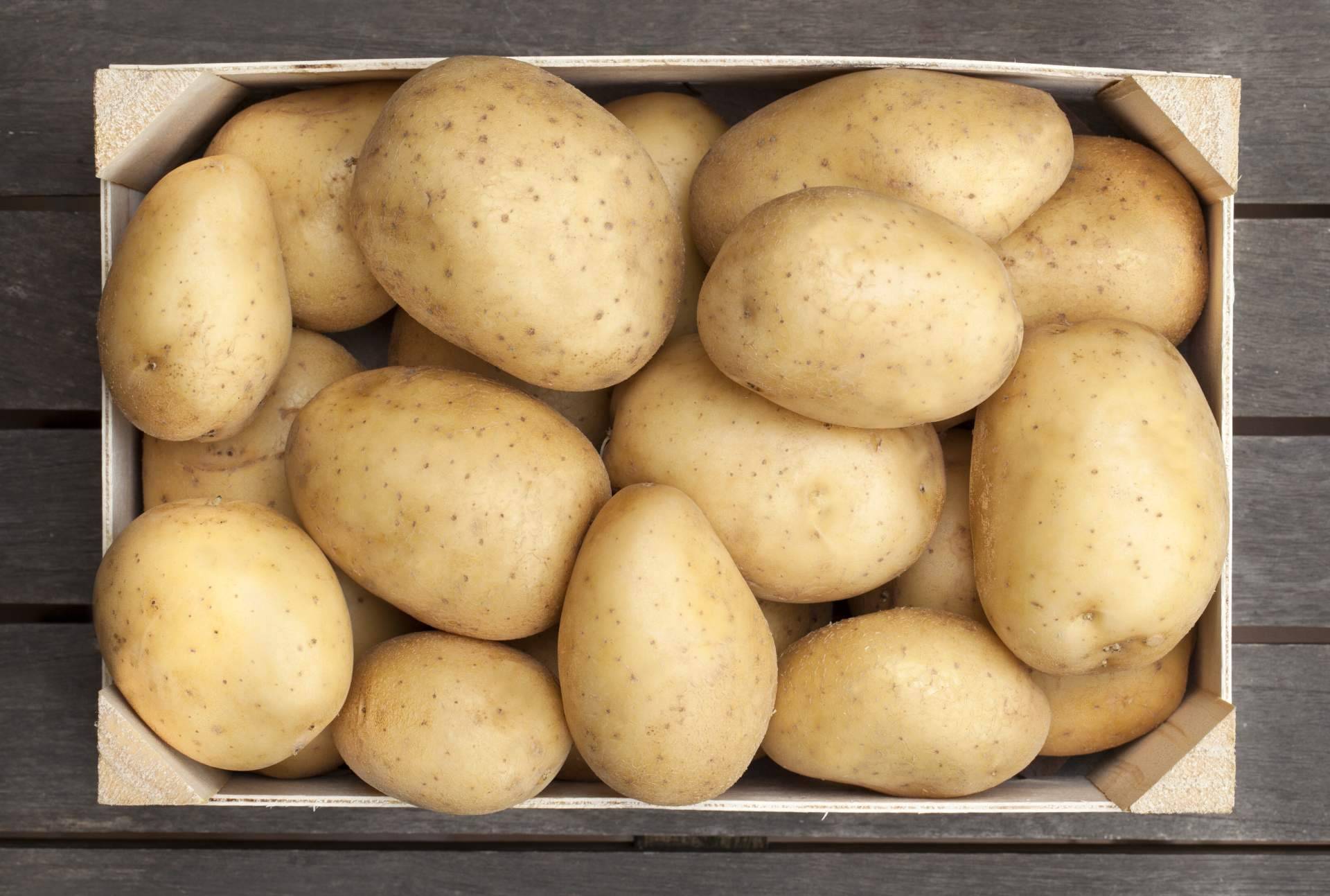 Patatas Yago permite disfrutar de las patatas gallegas en Barcelona