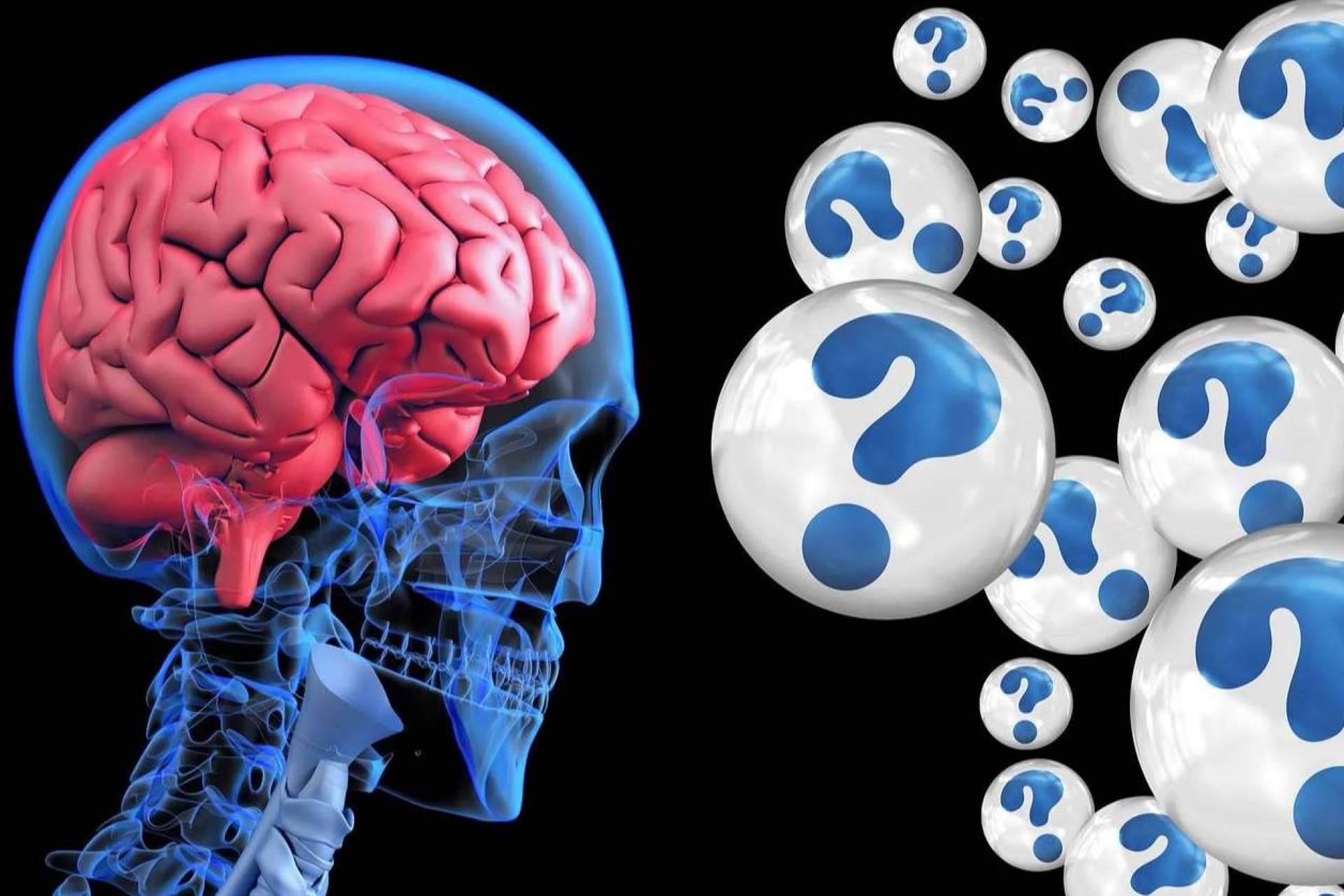 Conocer en qué consiste la estimulación cognitiva a domicilio