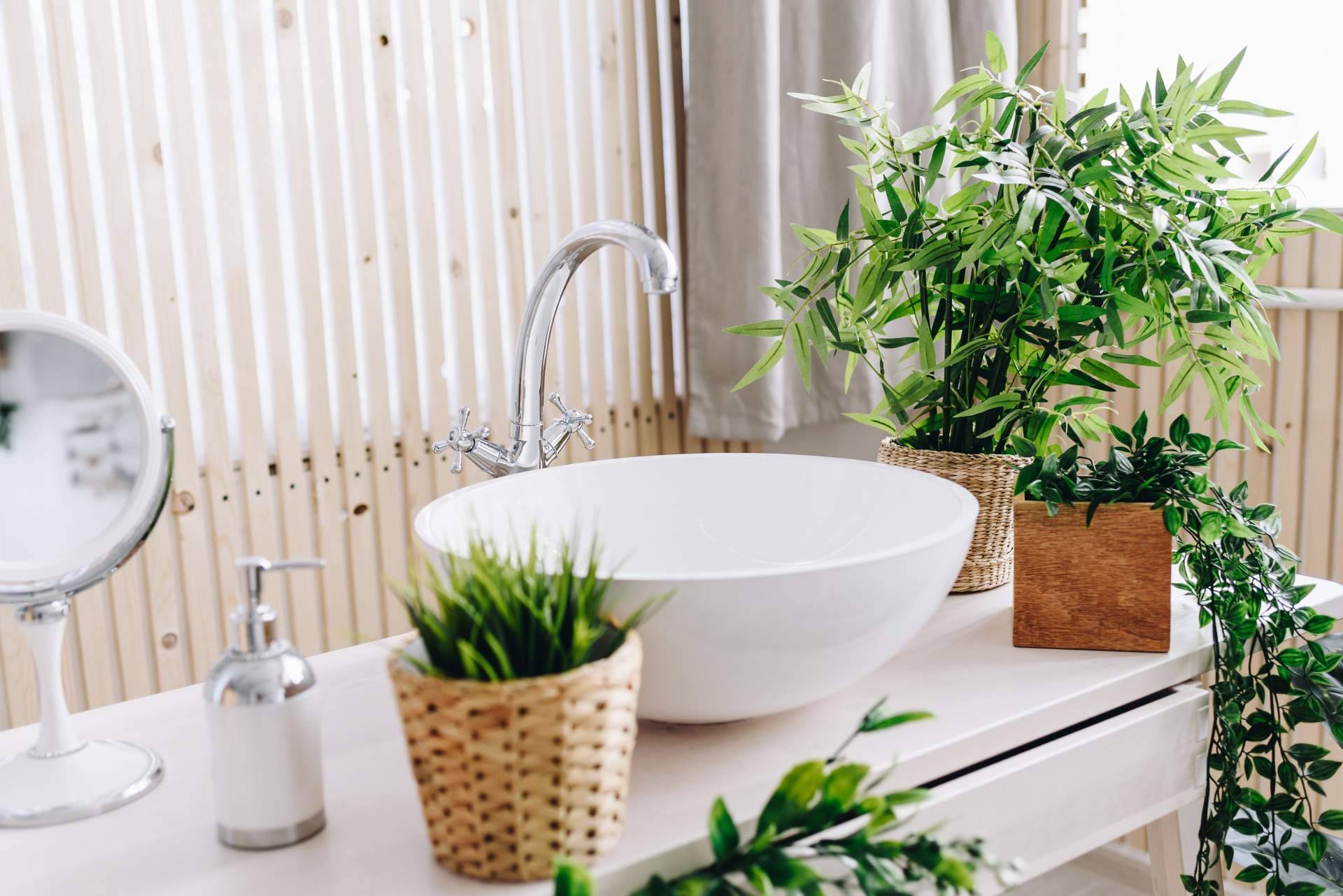 El Black Friday representa la oportunidad perfecta para comprar plantas artificiales en JardinVertical.es