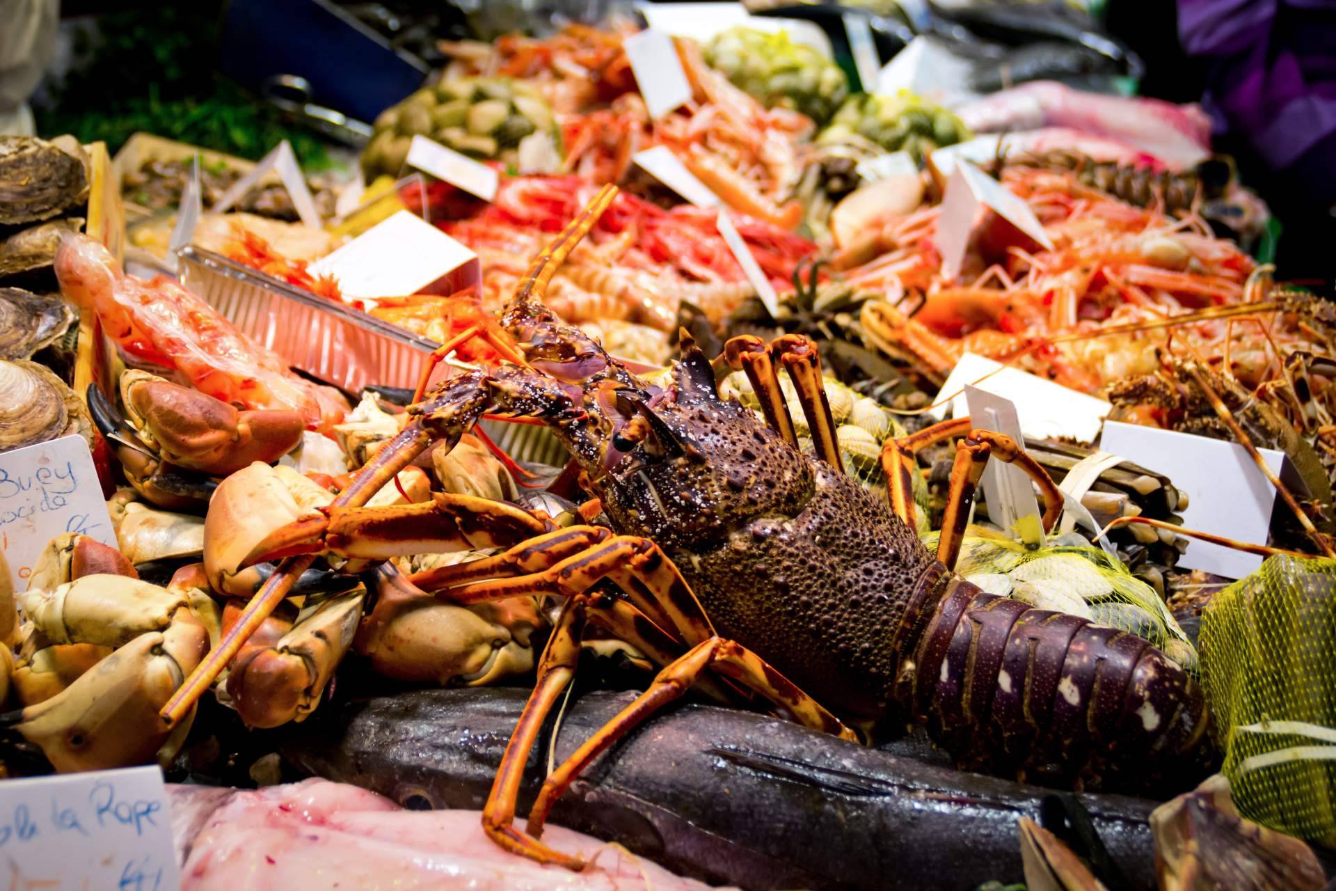 Pescadería Younes Ceuta, profesionales de pescados y mariscos
