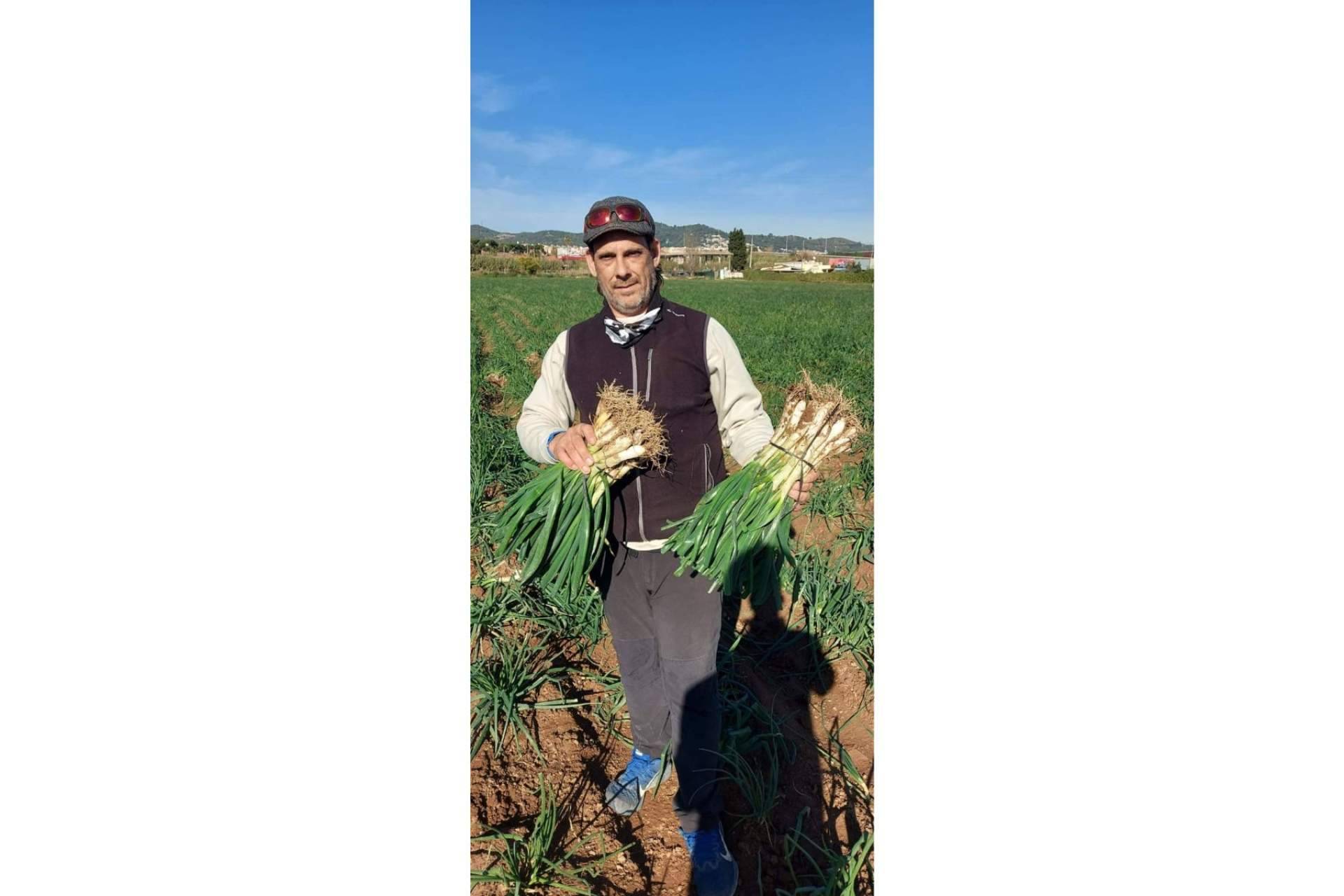 Cal Delaida ofrece calçots de cosecha propia