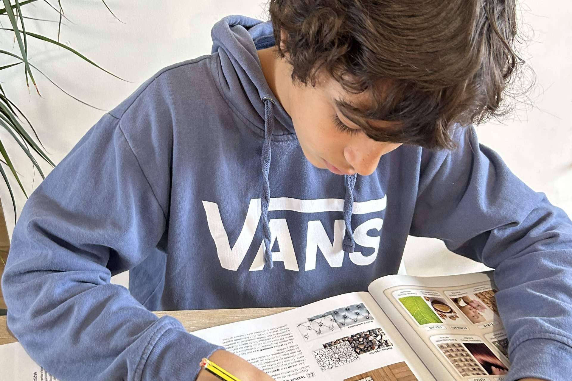 ¿Por qué el orientador escolar puede ser la clave para lograr el éxito académico?