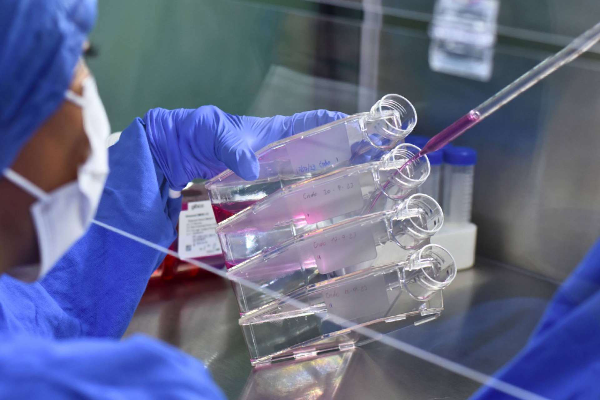 Terapia celular y medicina regenerativa de la mano de los especialistas de Immunotherapy Regenerative Medicine™
