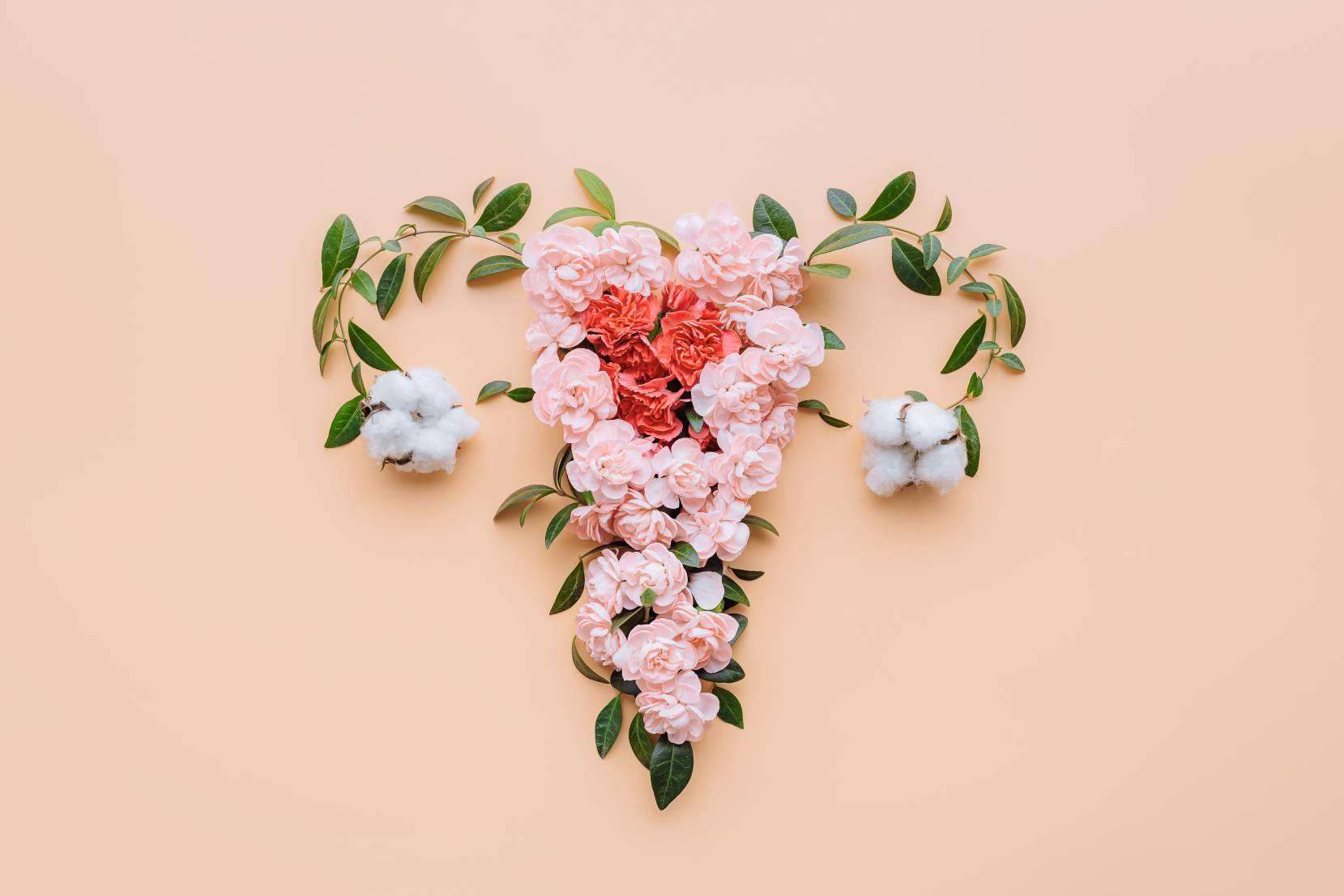 ¿Por qué se necesita un abordaje multidisciplinar para la adenomiosis y endometriosis?, por Carmen de Endosofía