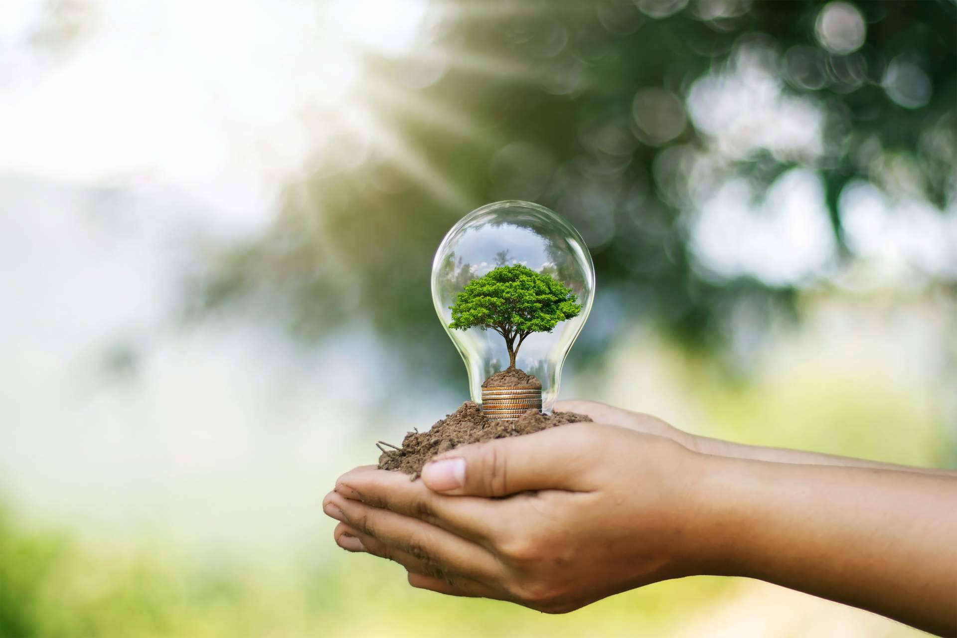 El CRM específico para el sector de la energía que brinda Trebede